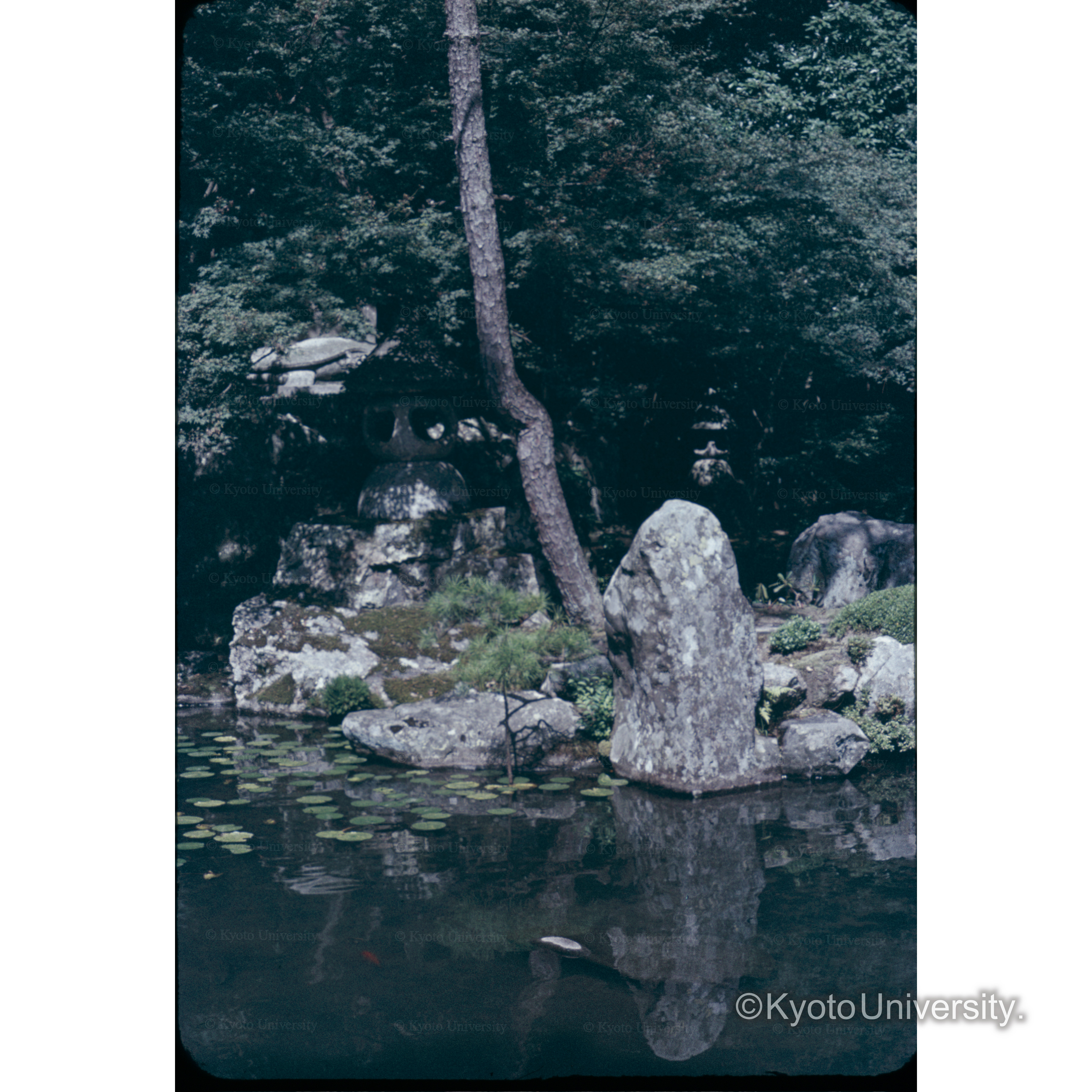 レンゲ寺 (1)