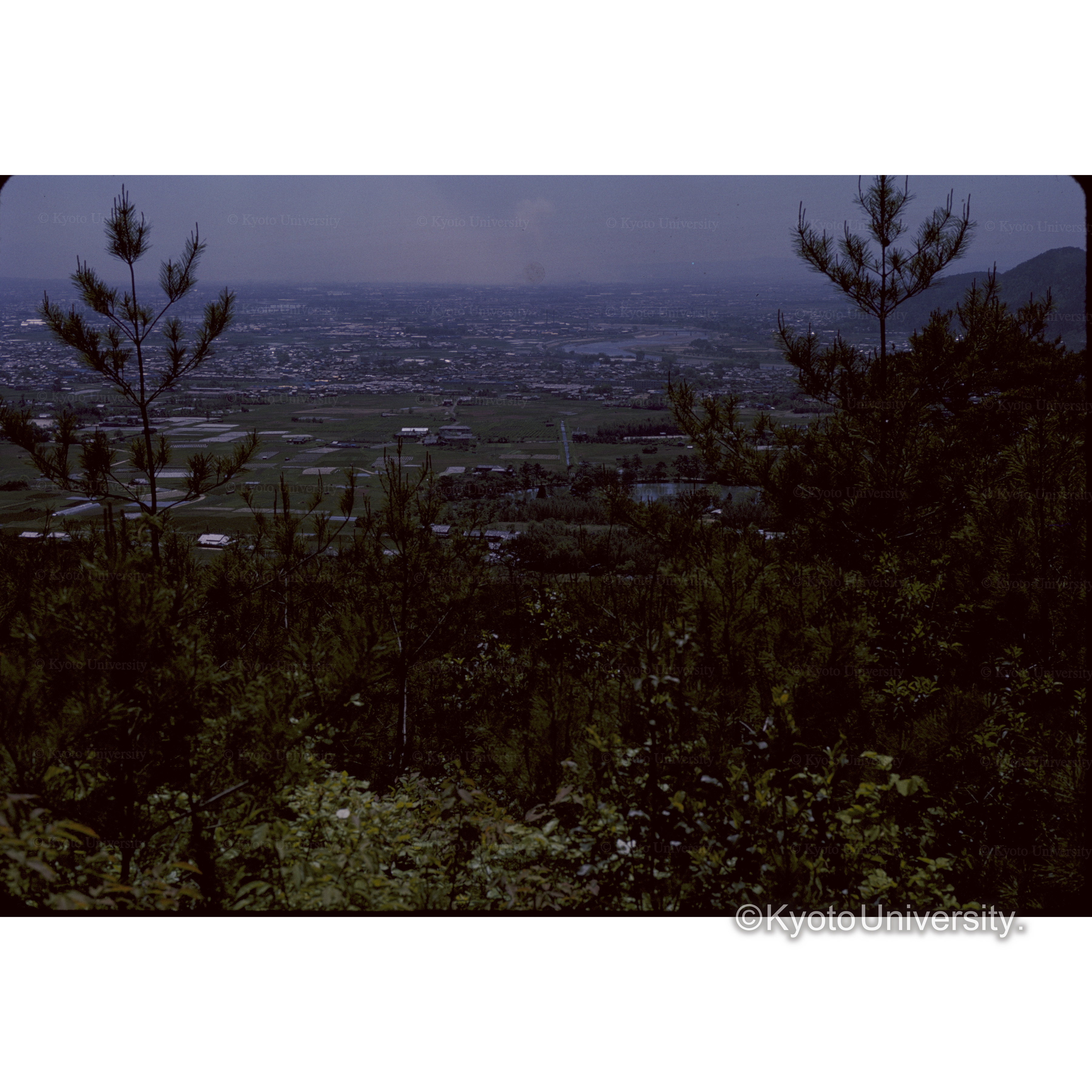 京見峠 (1)