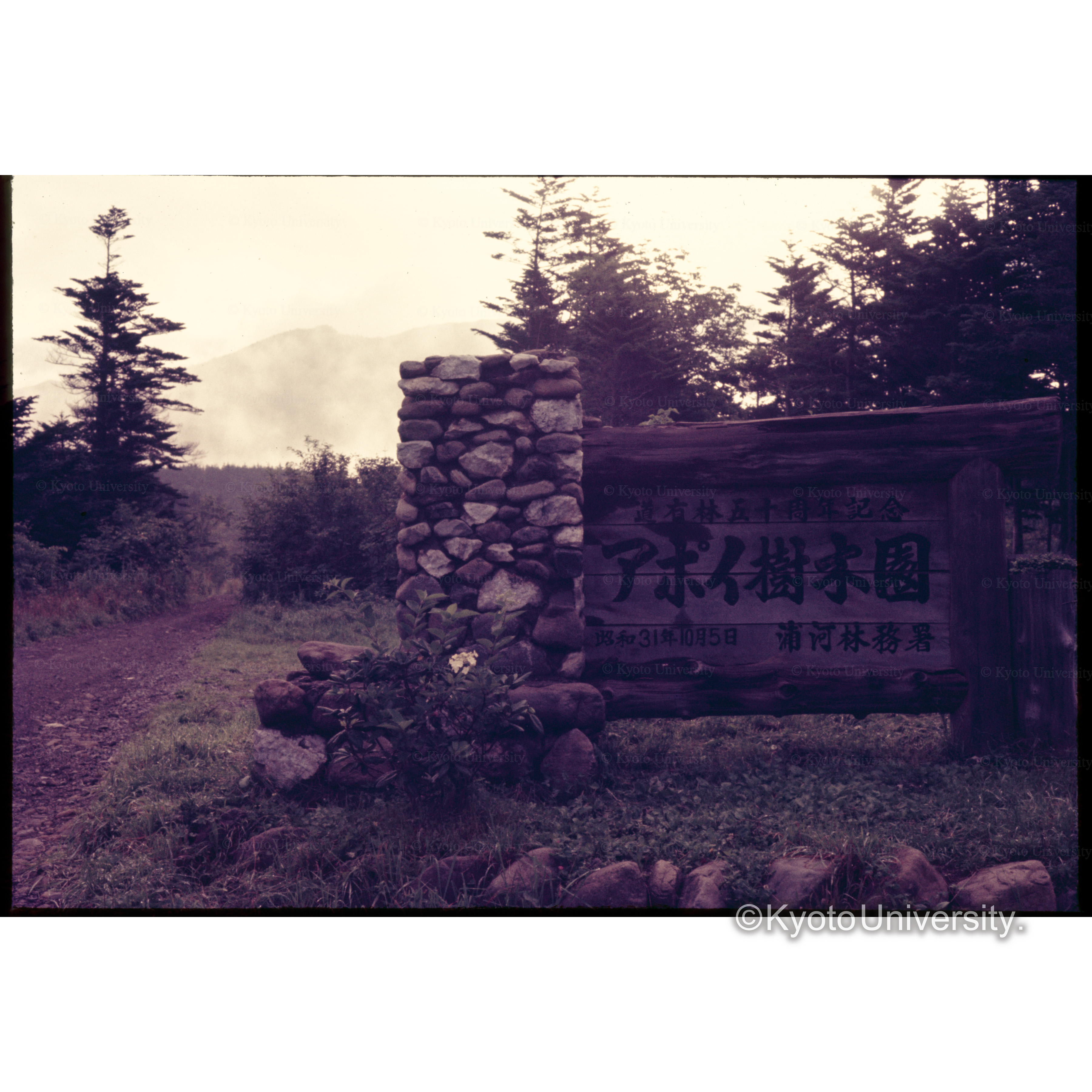 アポイ山荘 (1)