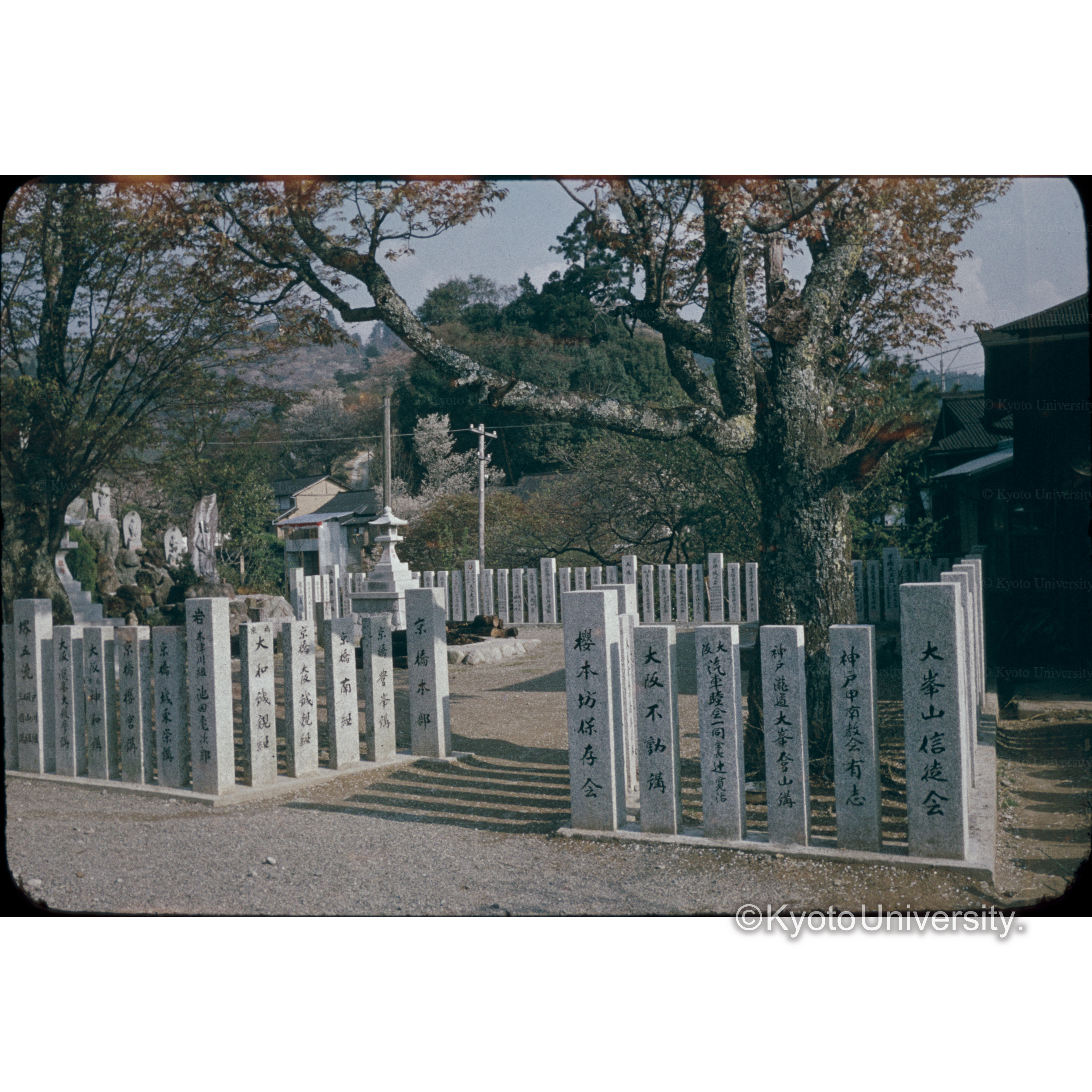 Yoshino (1)