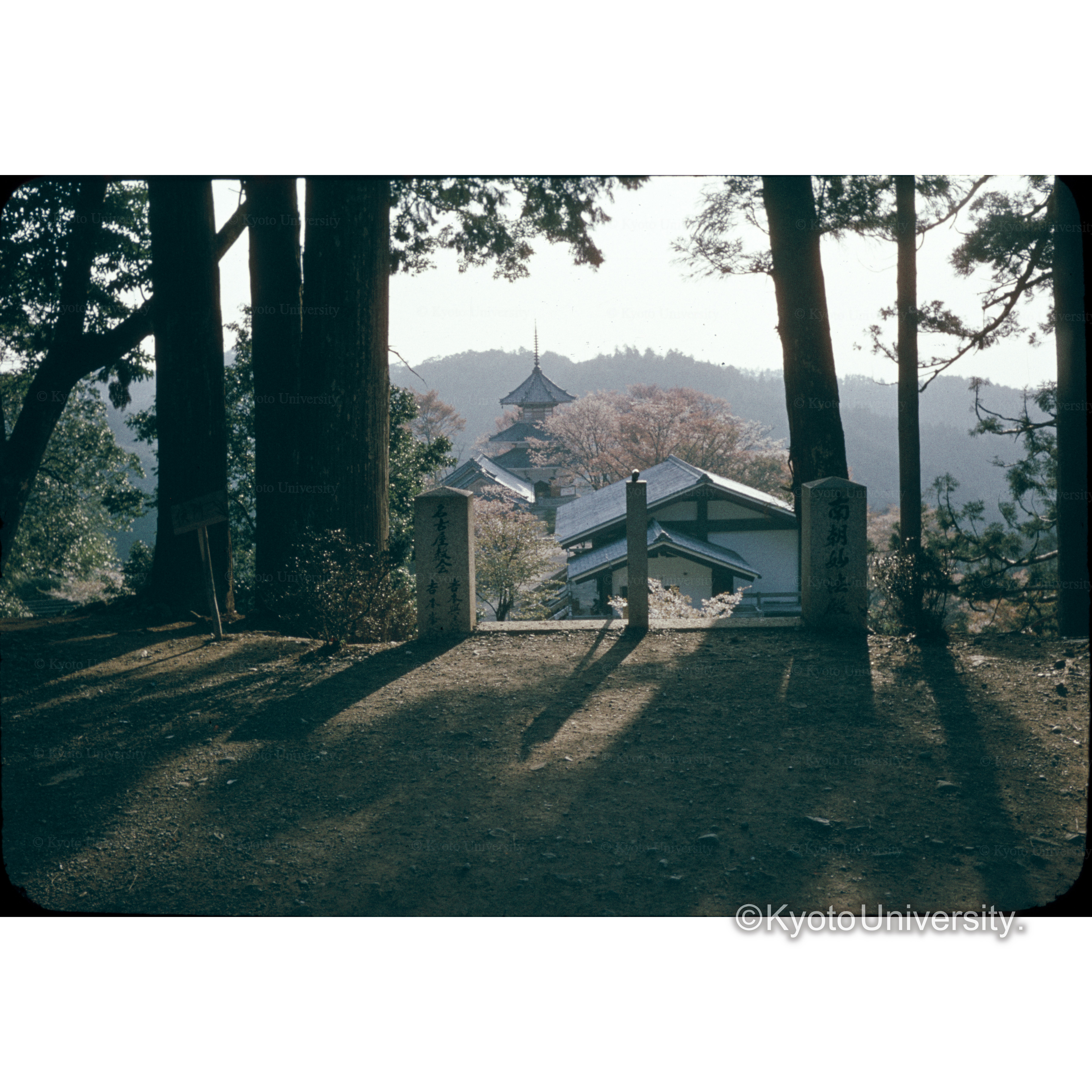 Yoshino Gû (1)