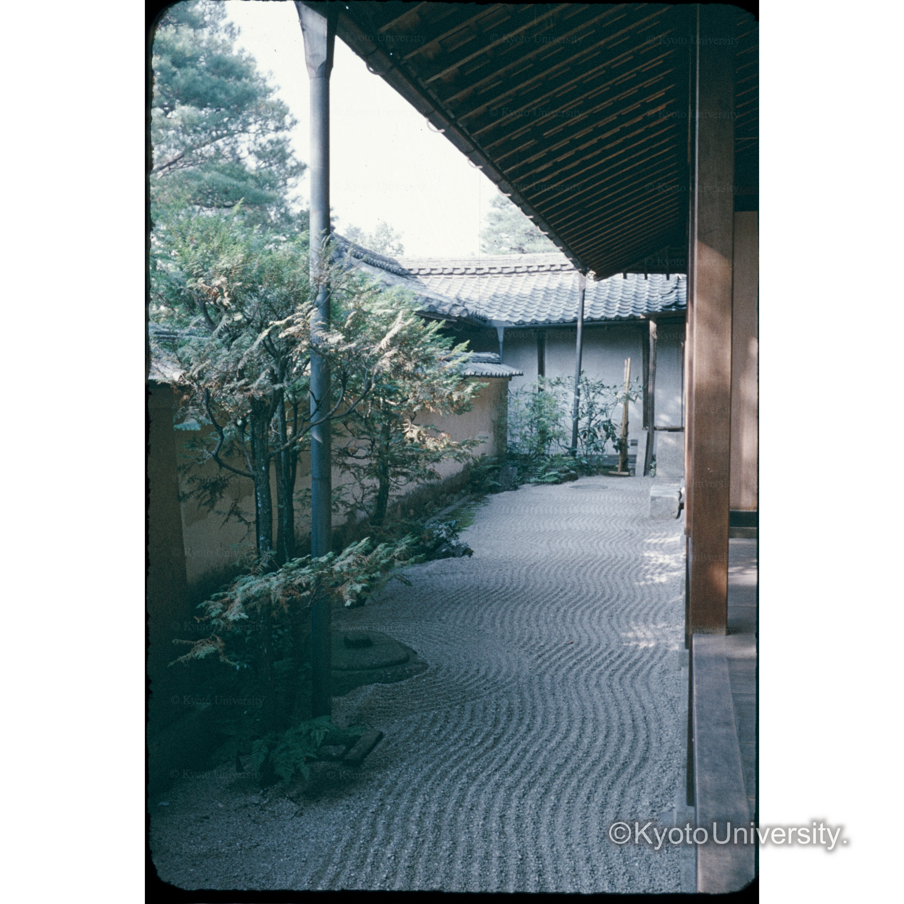 龍源院(コタテイ) (1)