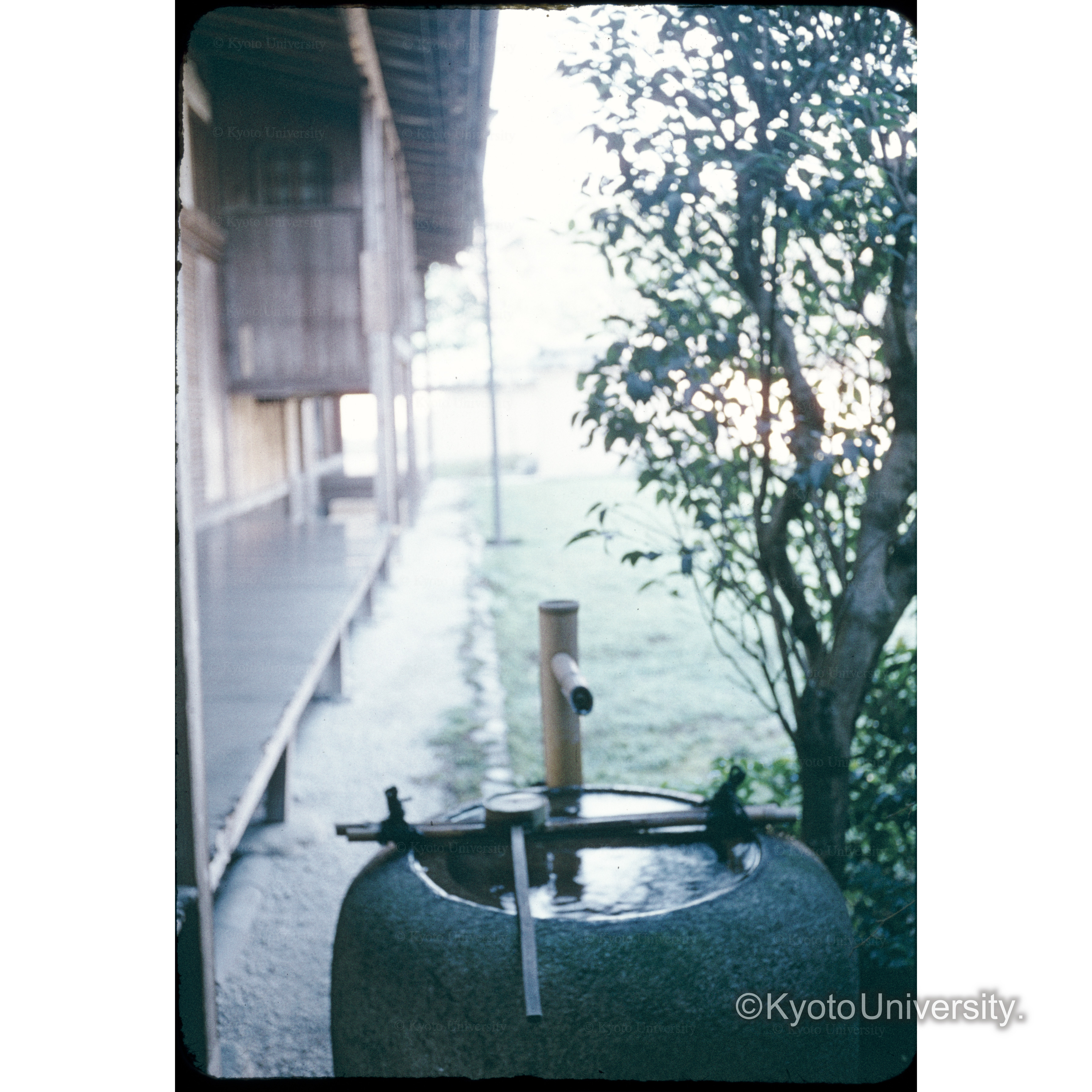 龍源院(龍吟庭) (1)