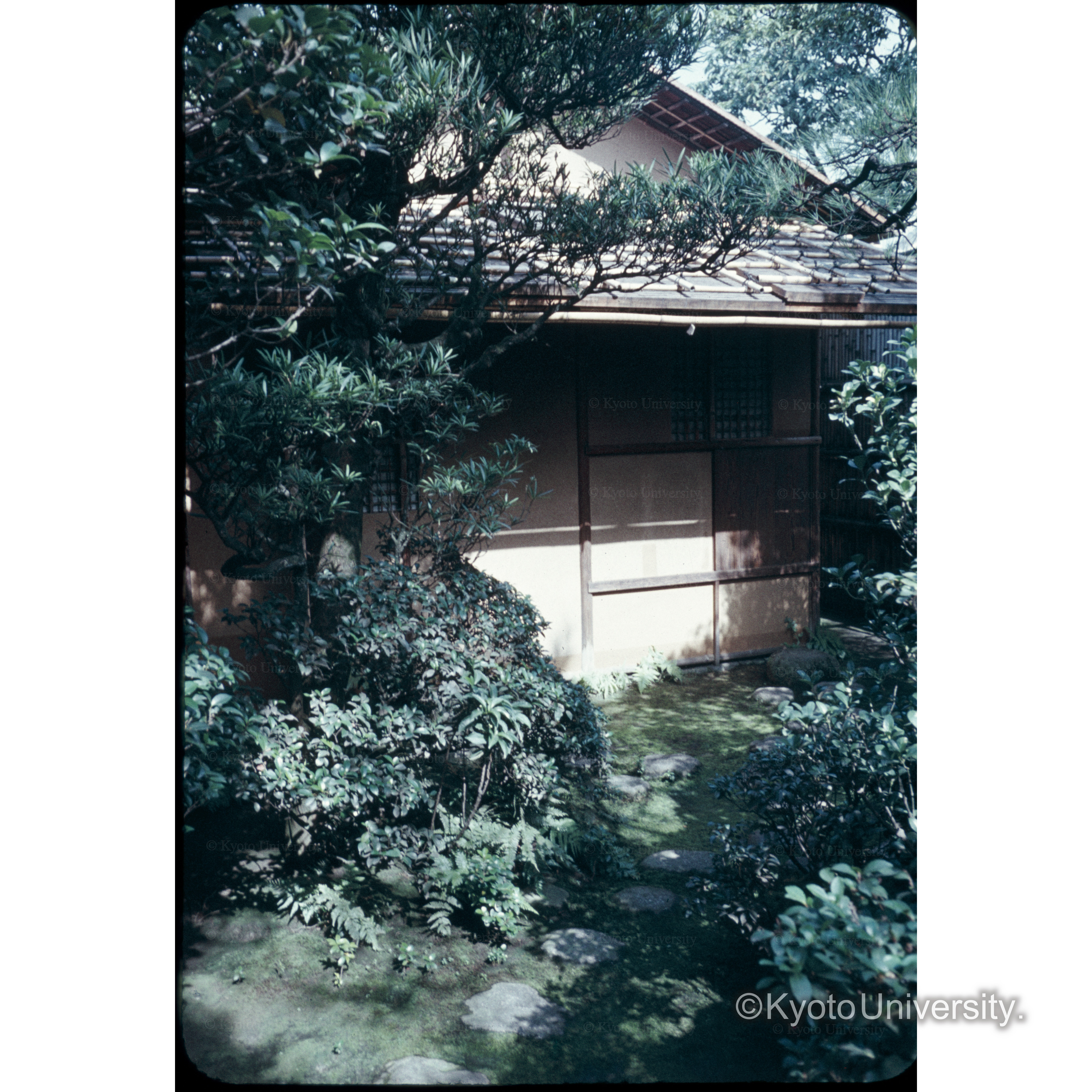 不審庵 (1)