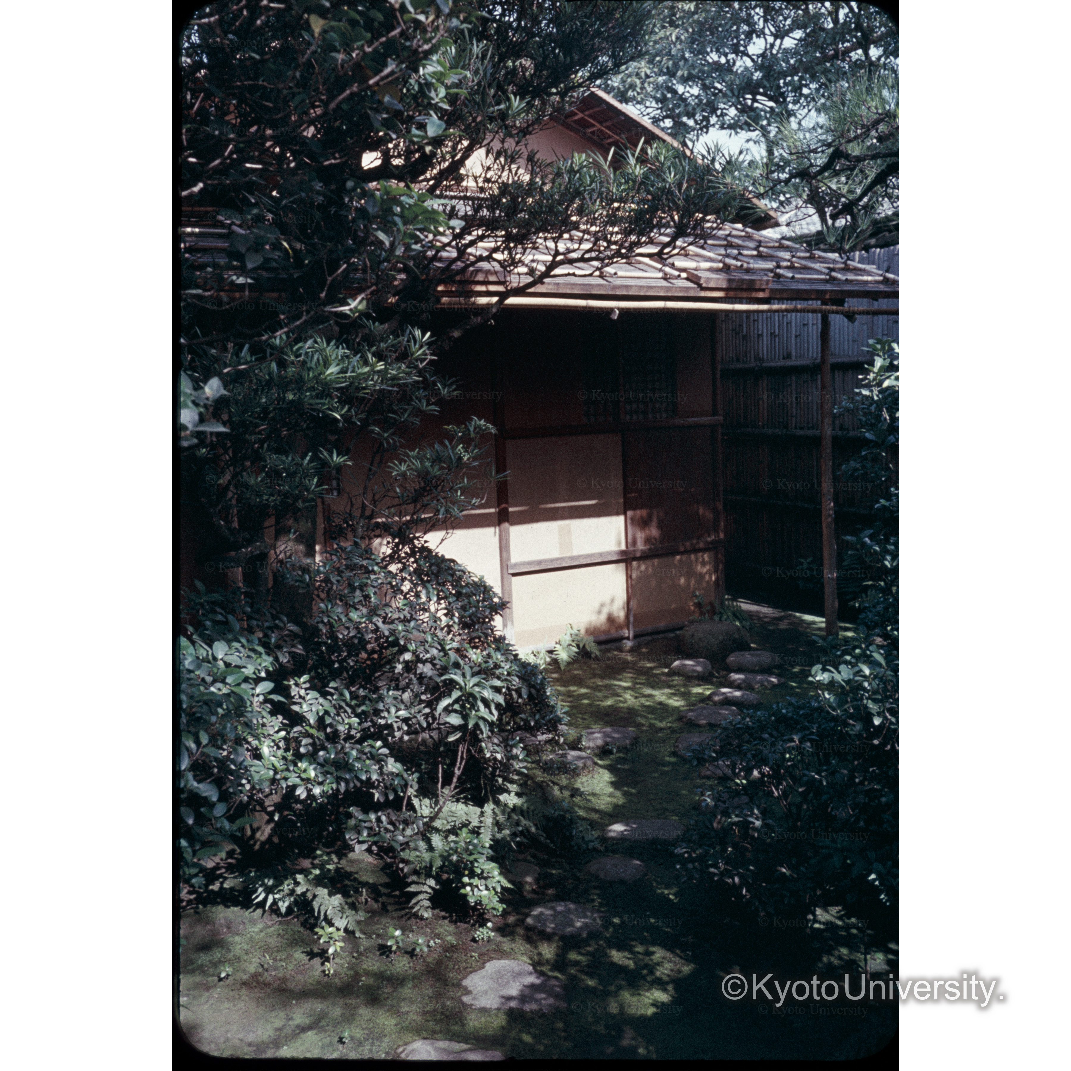不審庵 (1)