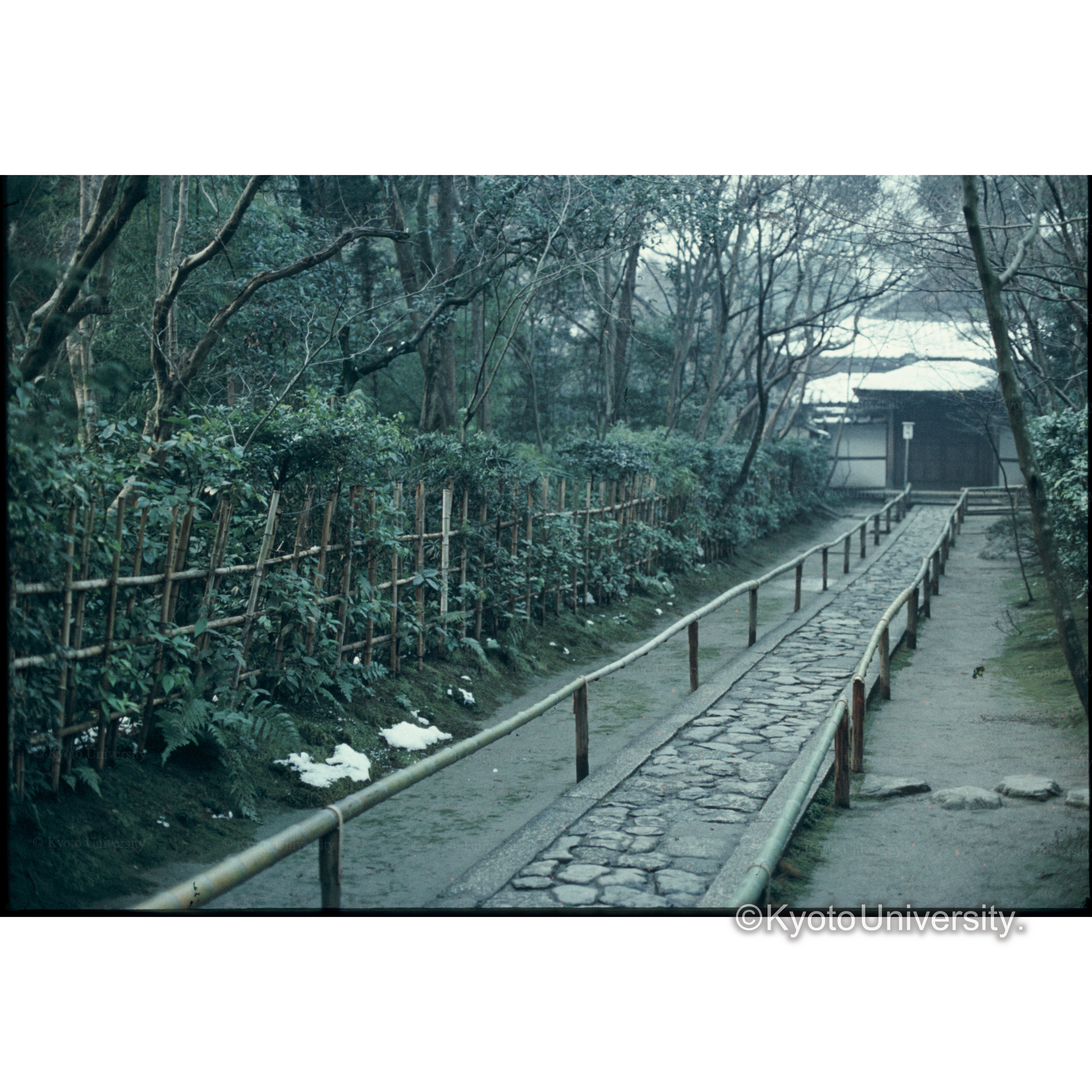 高桐院 (1)