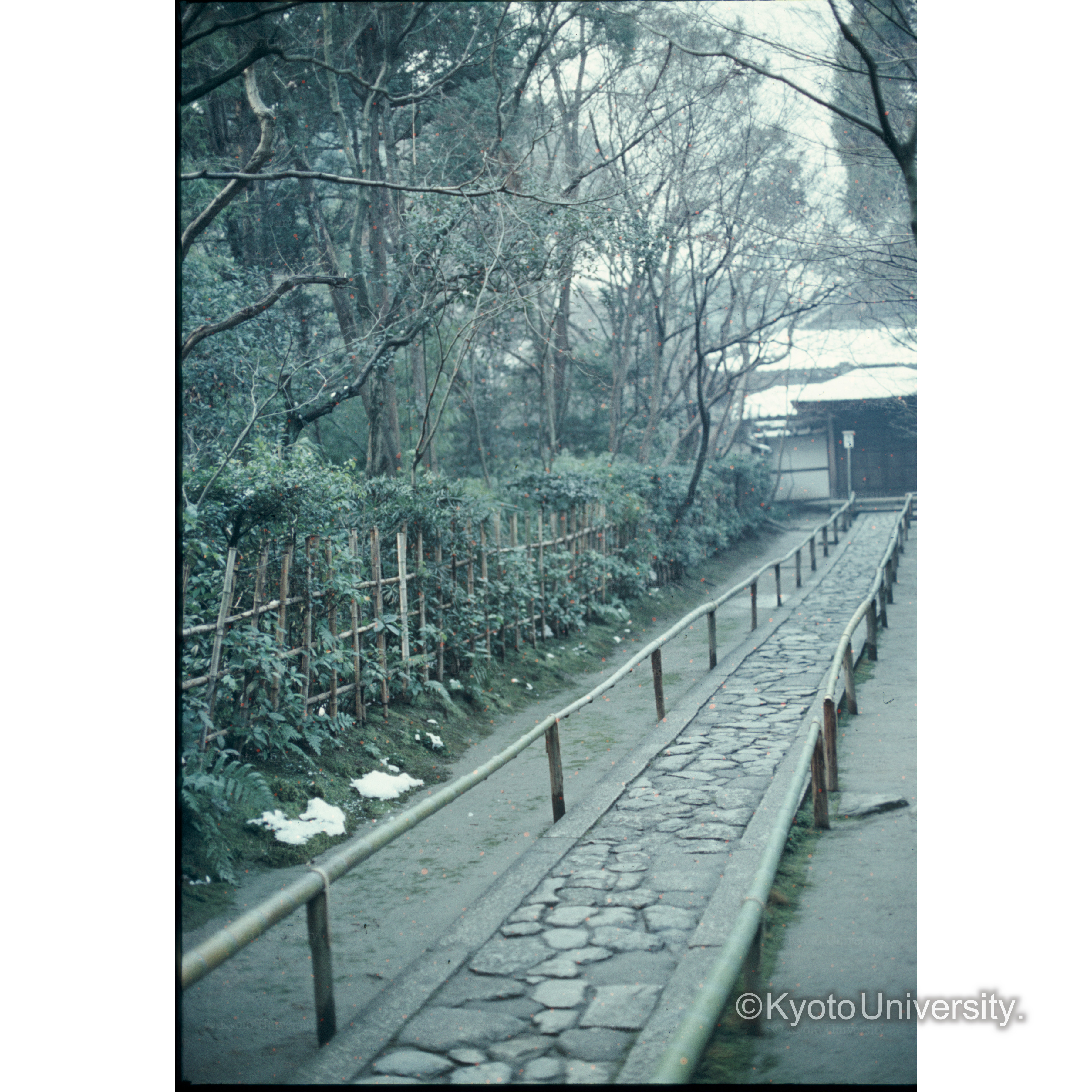 高桐院 (1)