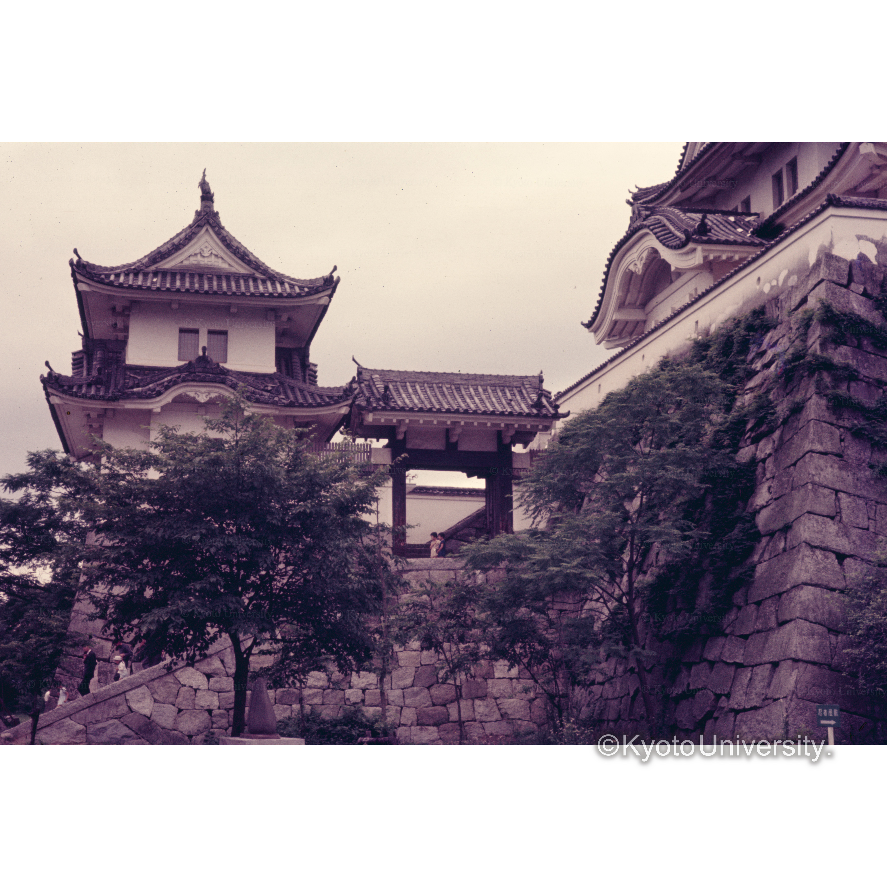 上野城 (1)