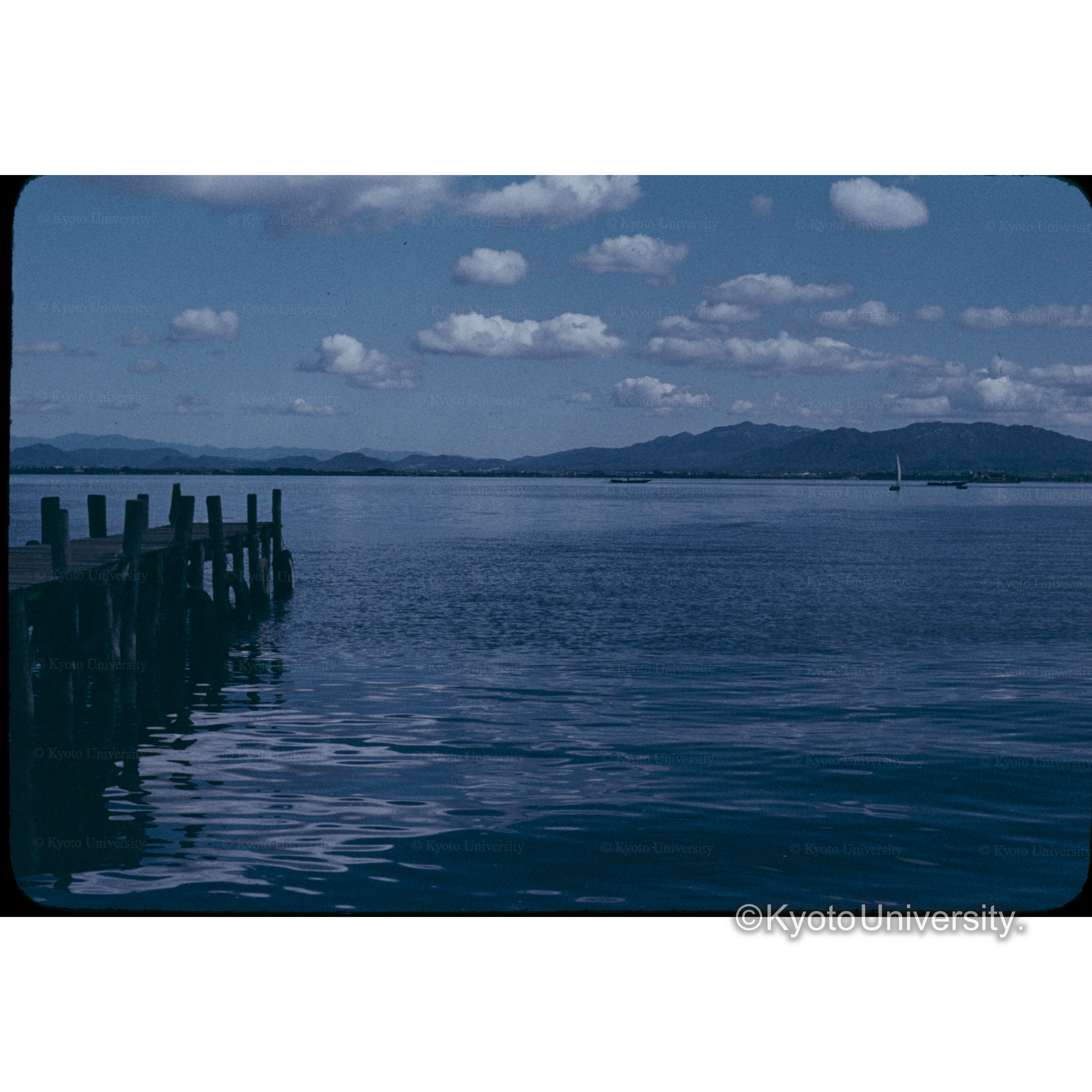 ビワ湖 (1)
