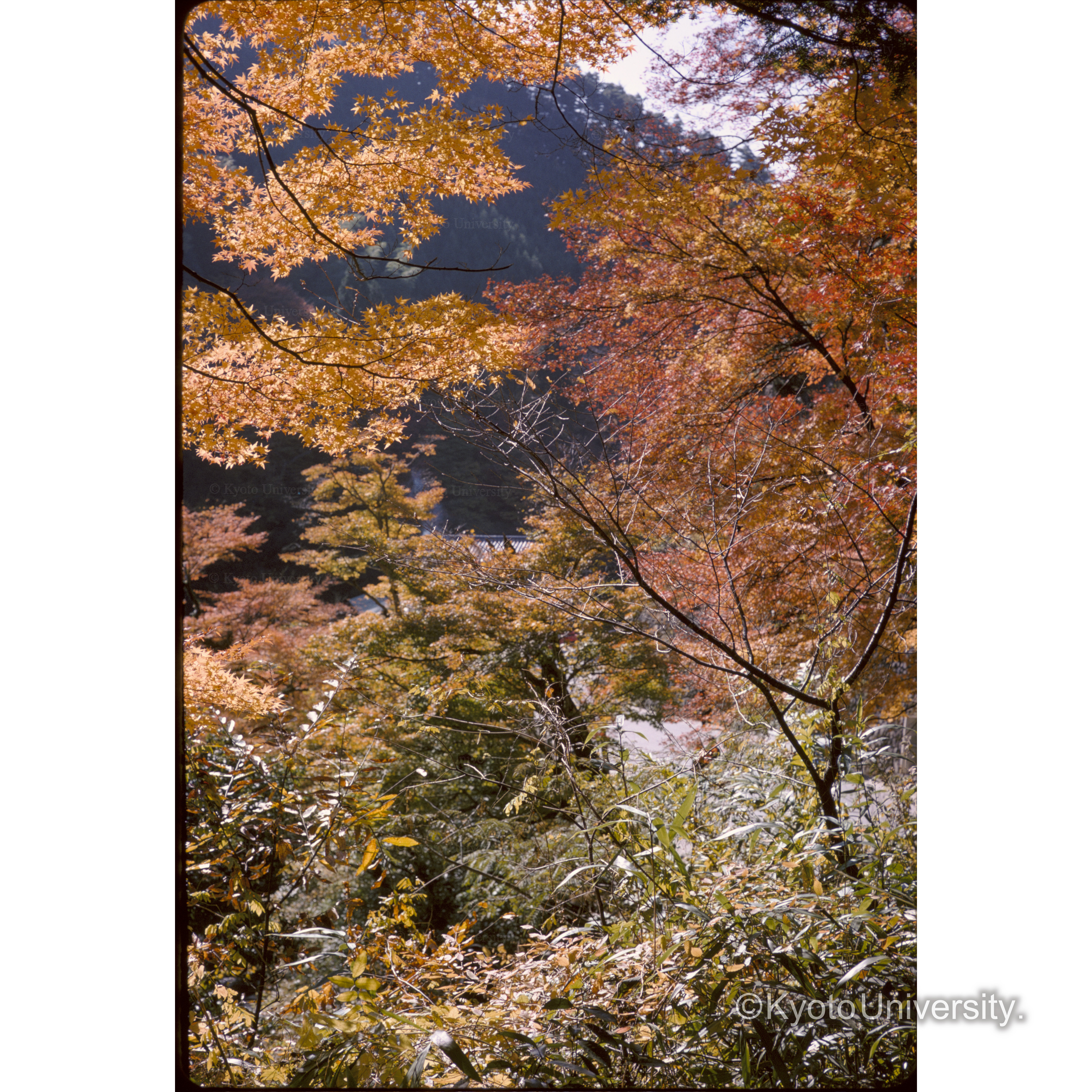 高雄 (1)