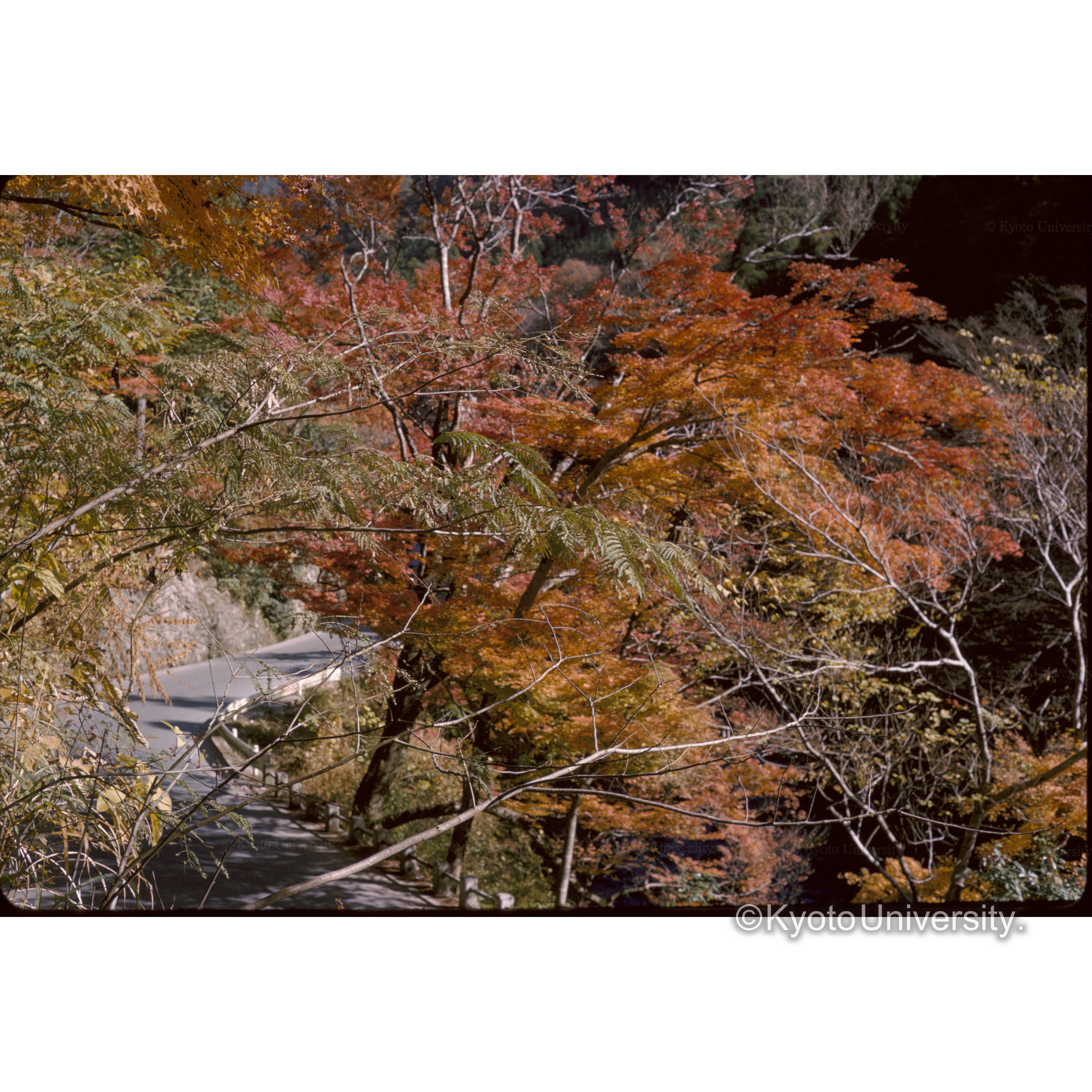 高雄 (1)