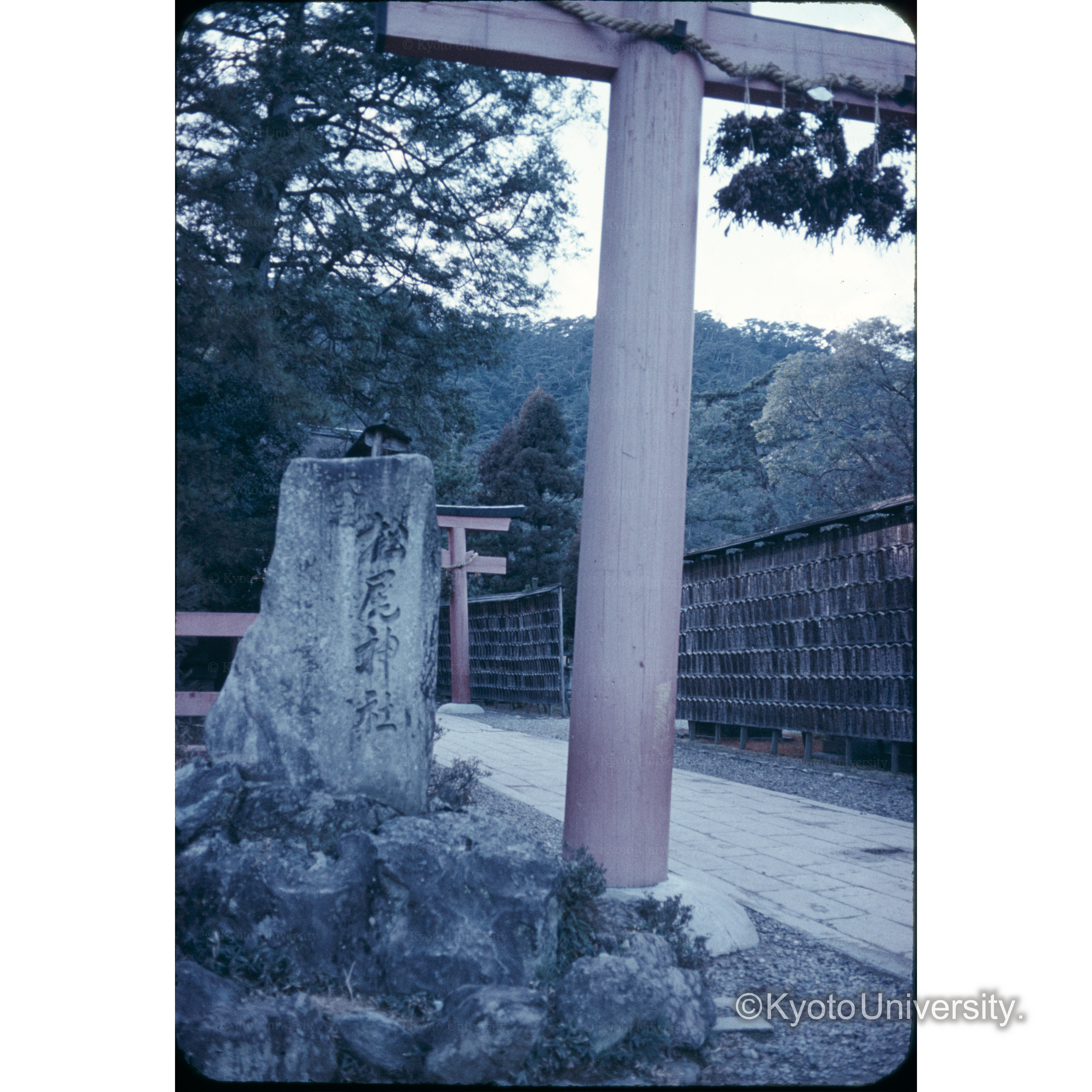 〔鳥居〕 (1)