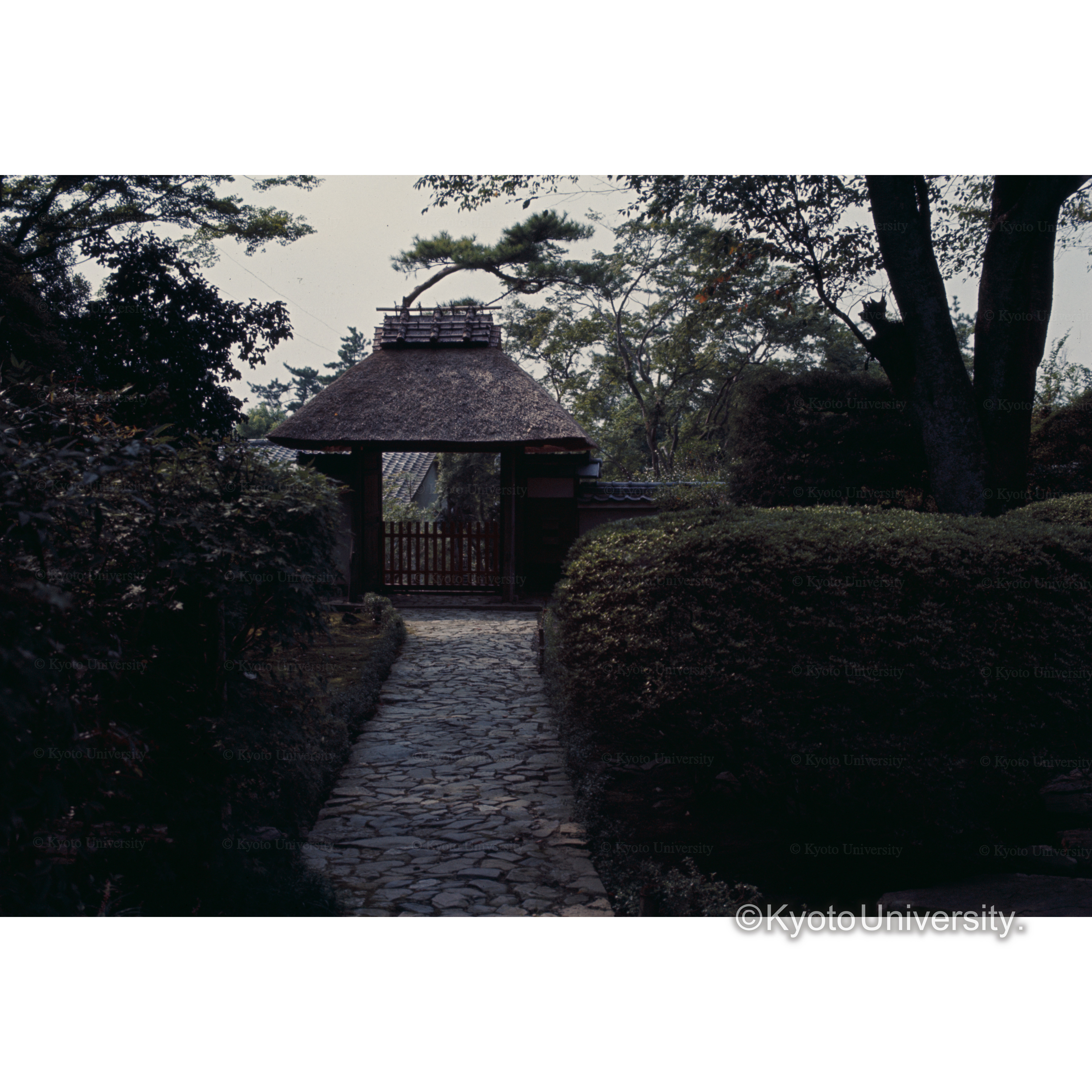 鞍馬寺 (1)