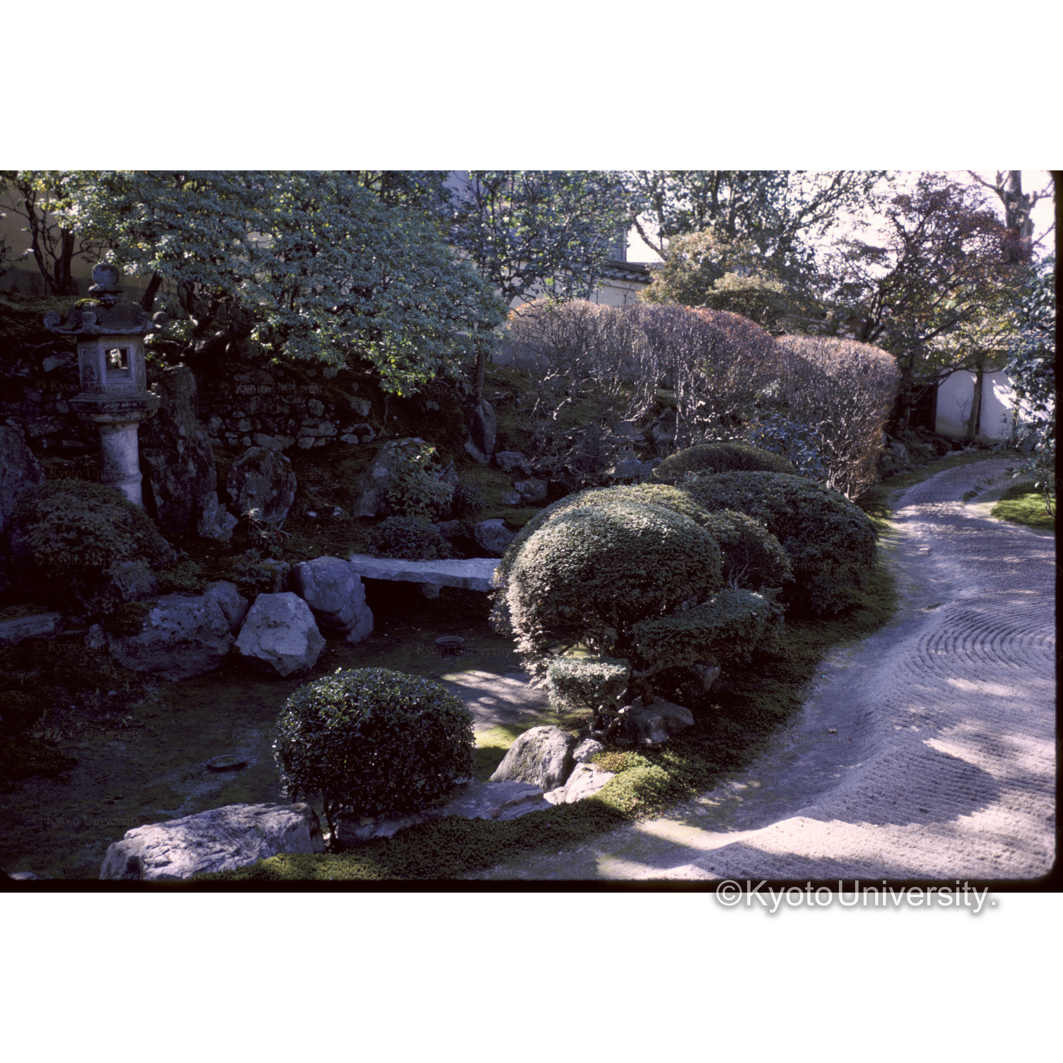 霊鑑寺 (1)