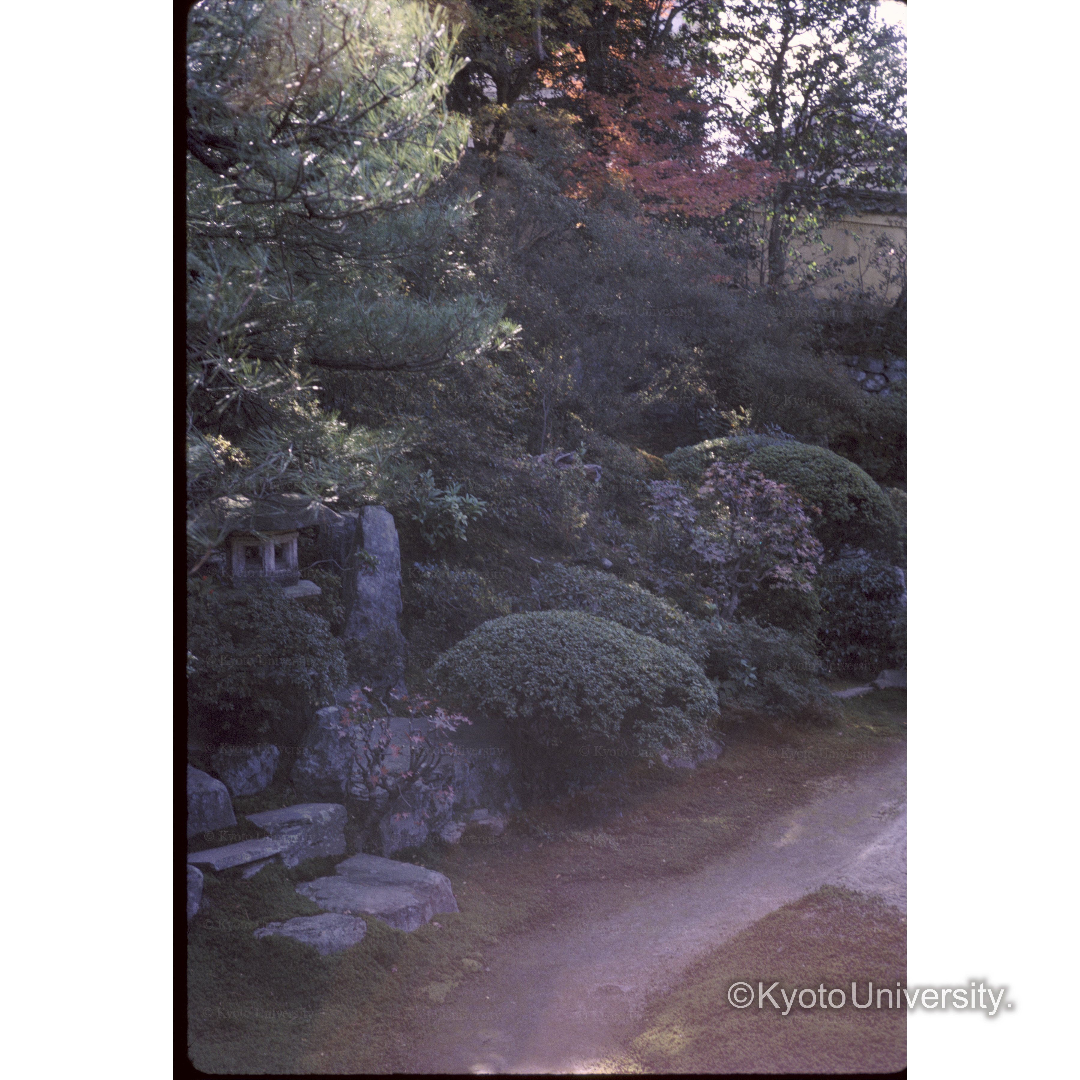 霊鑑寺 (1)