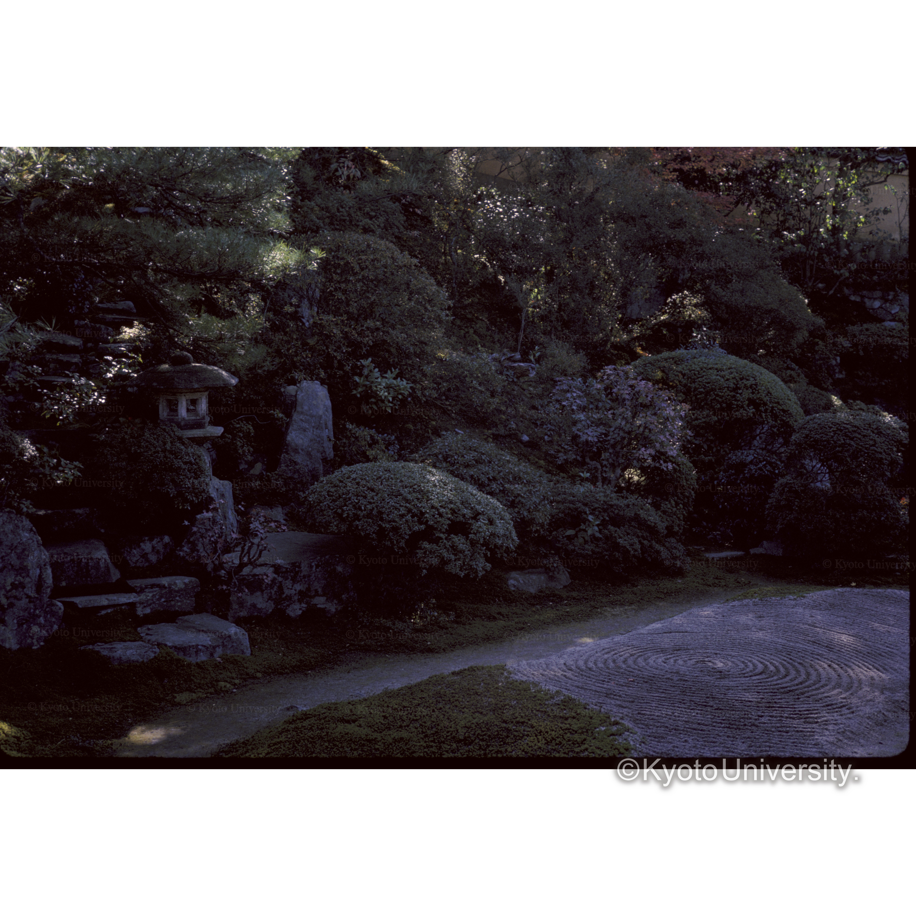 霊鑑寺 (1)