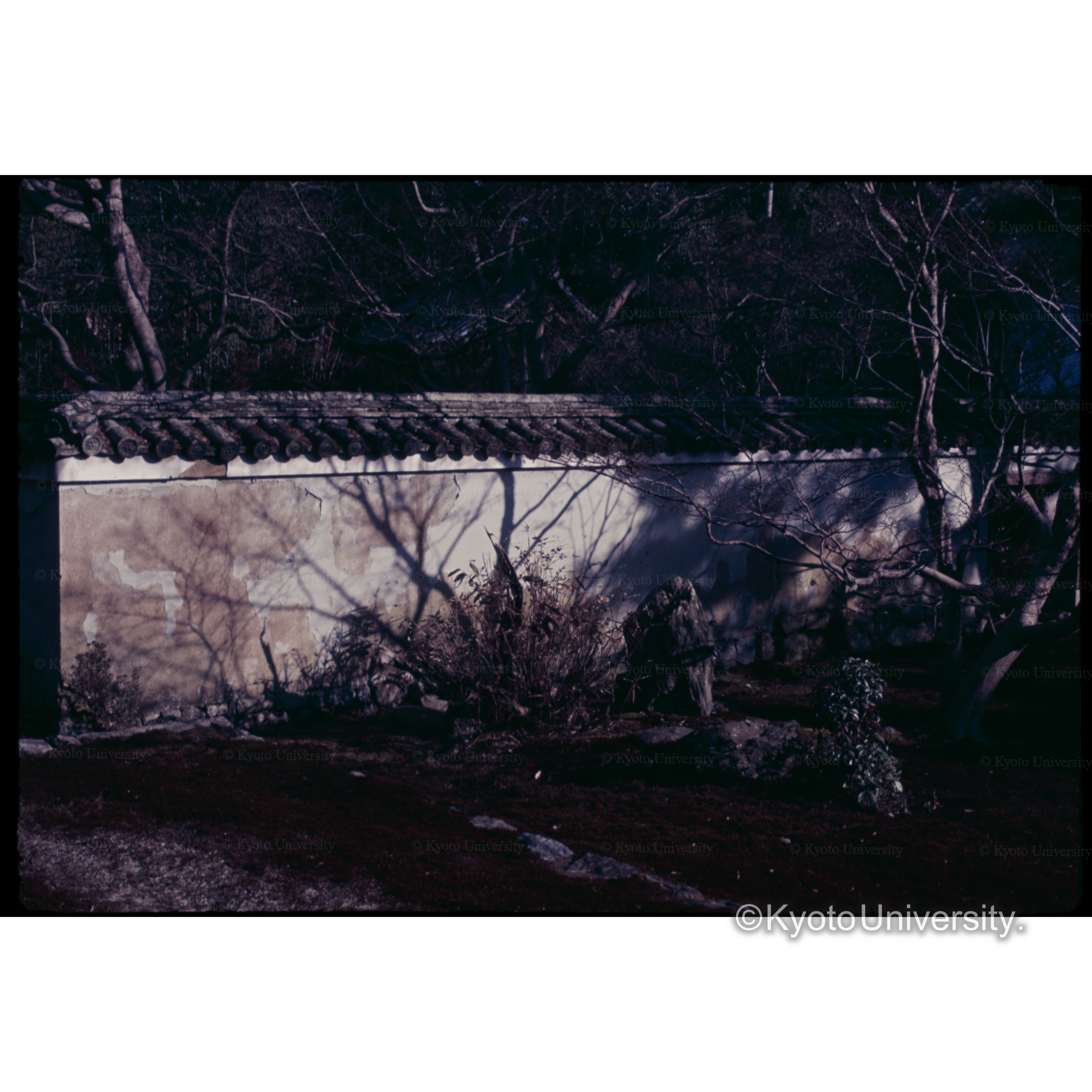 鹿王院 (1)