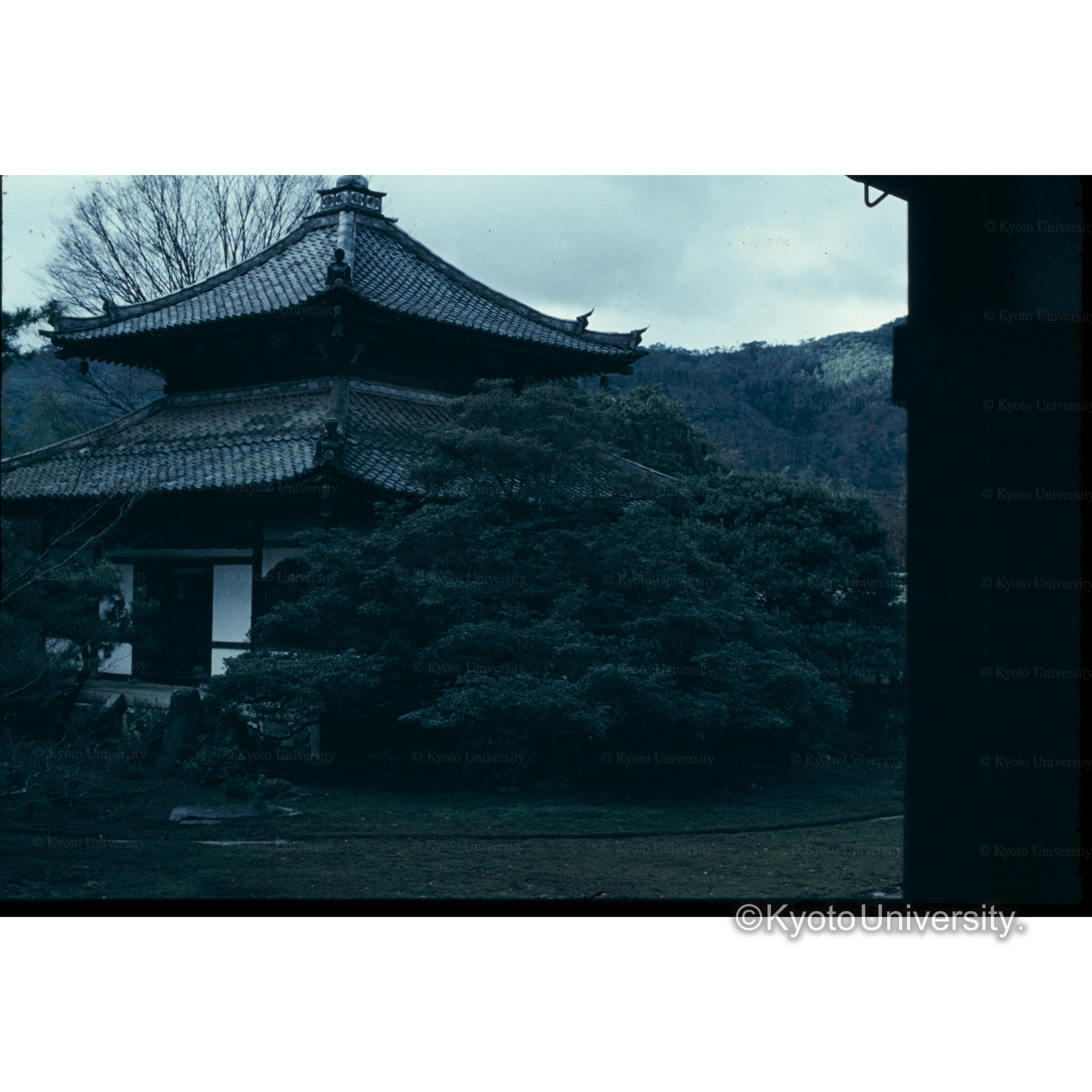 鹿王院 (1)