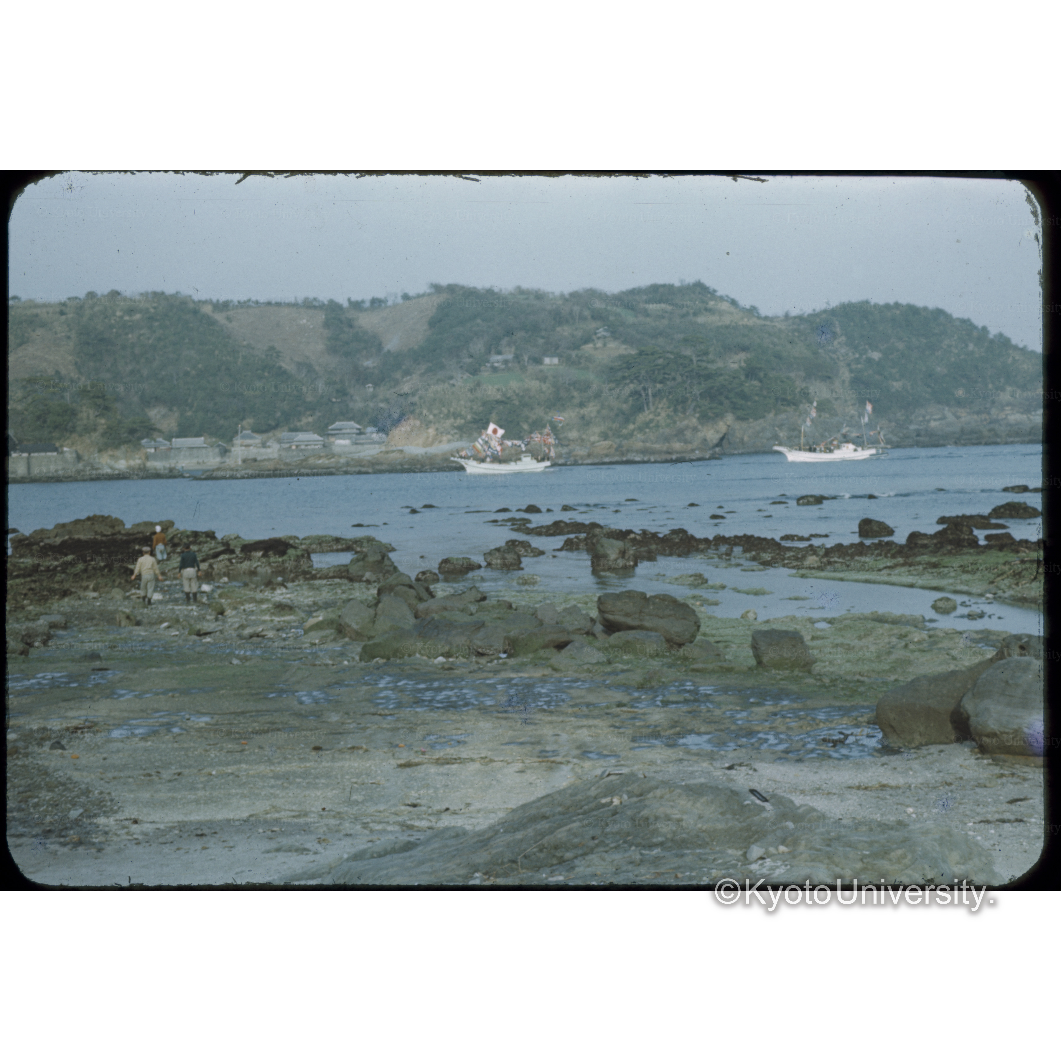 須崎　静岡 (1)