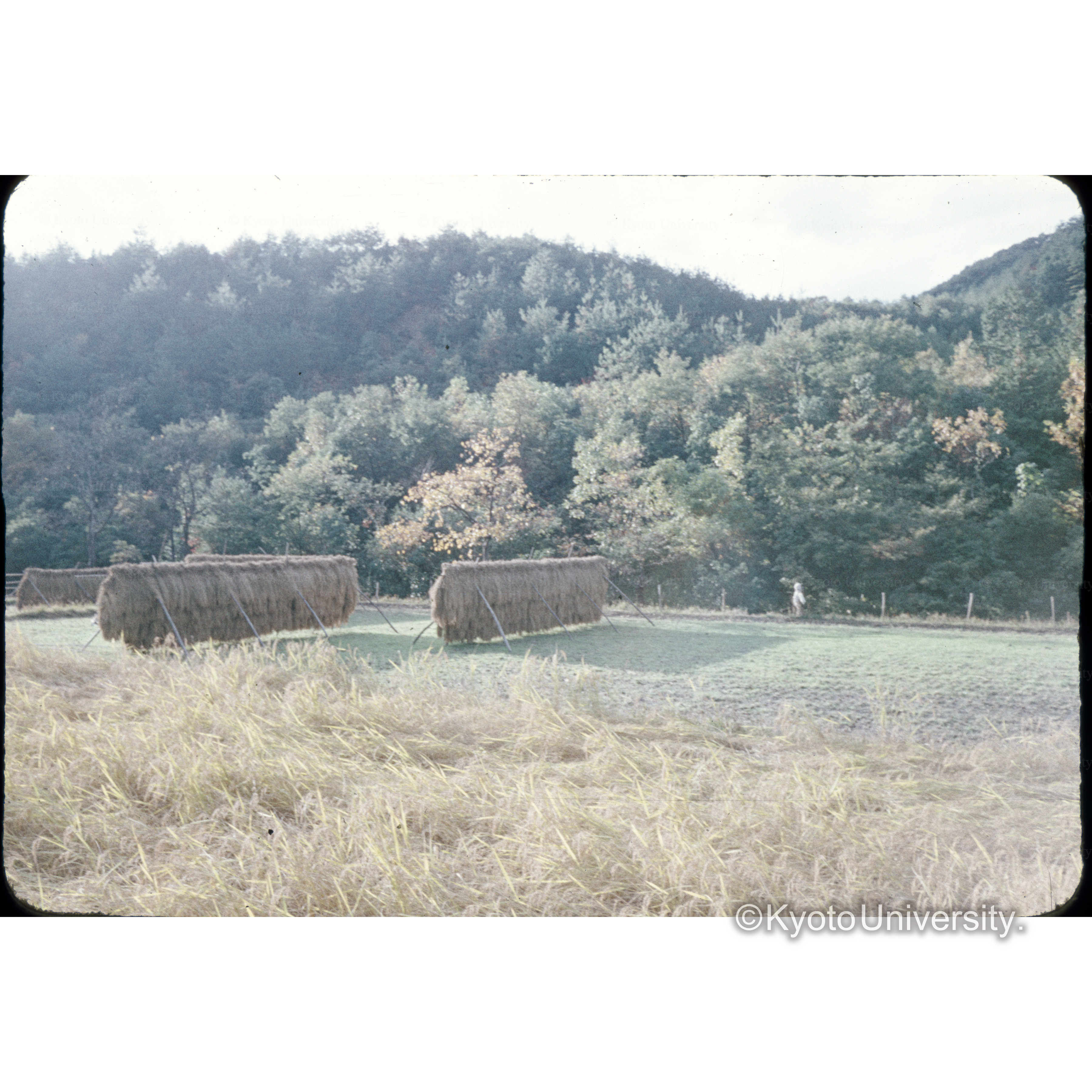 静原 (1)