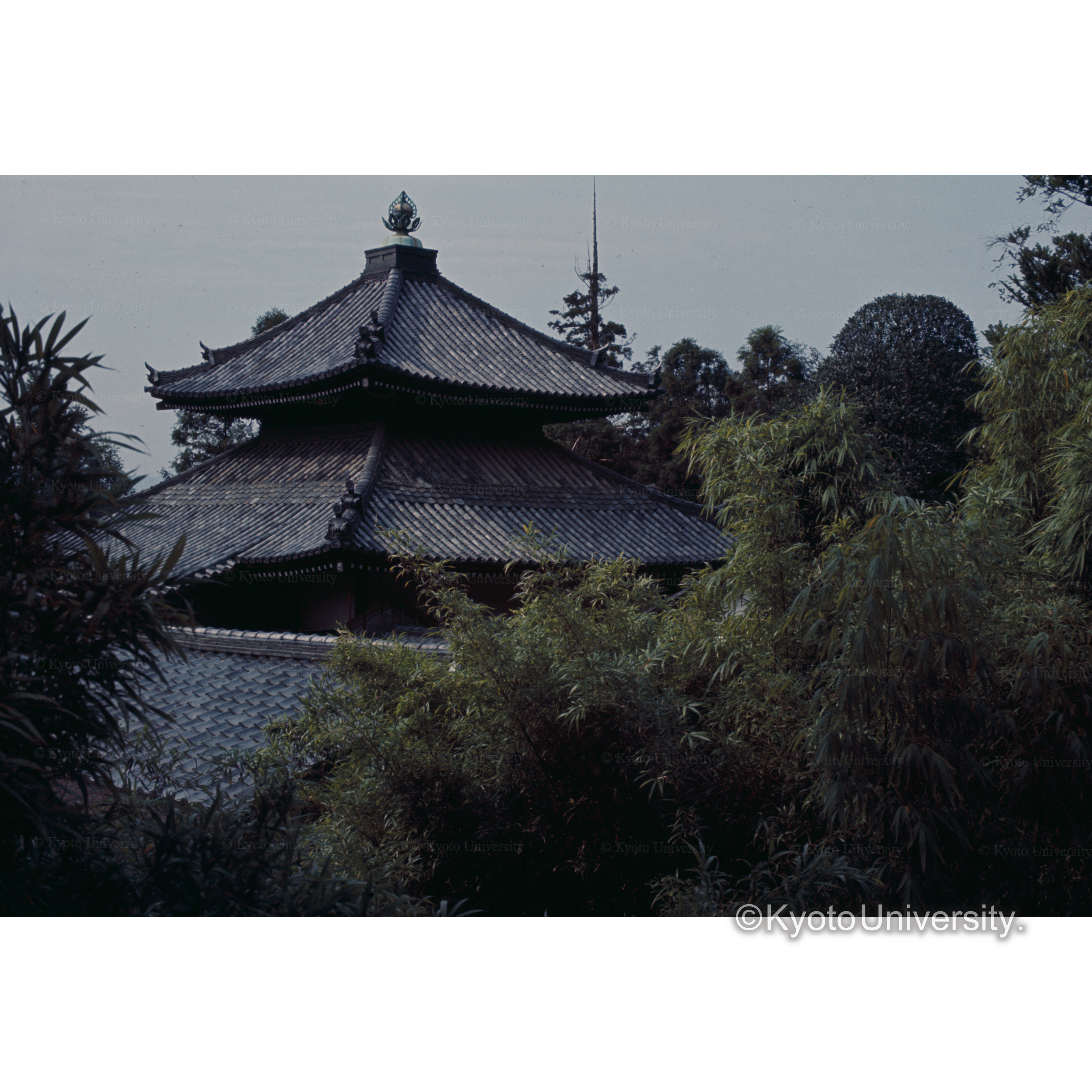 鞍馬寺 (1)