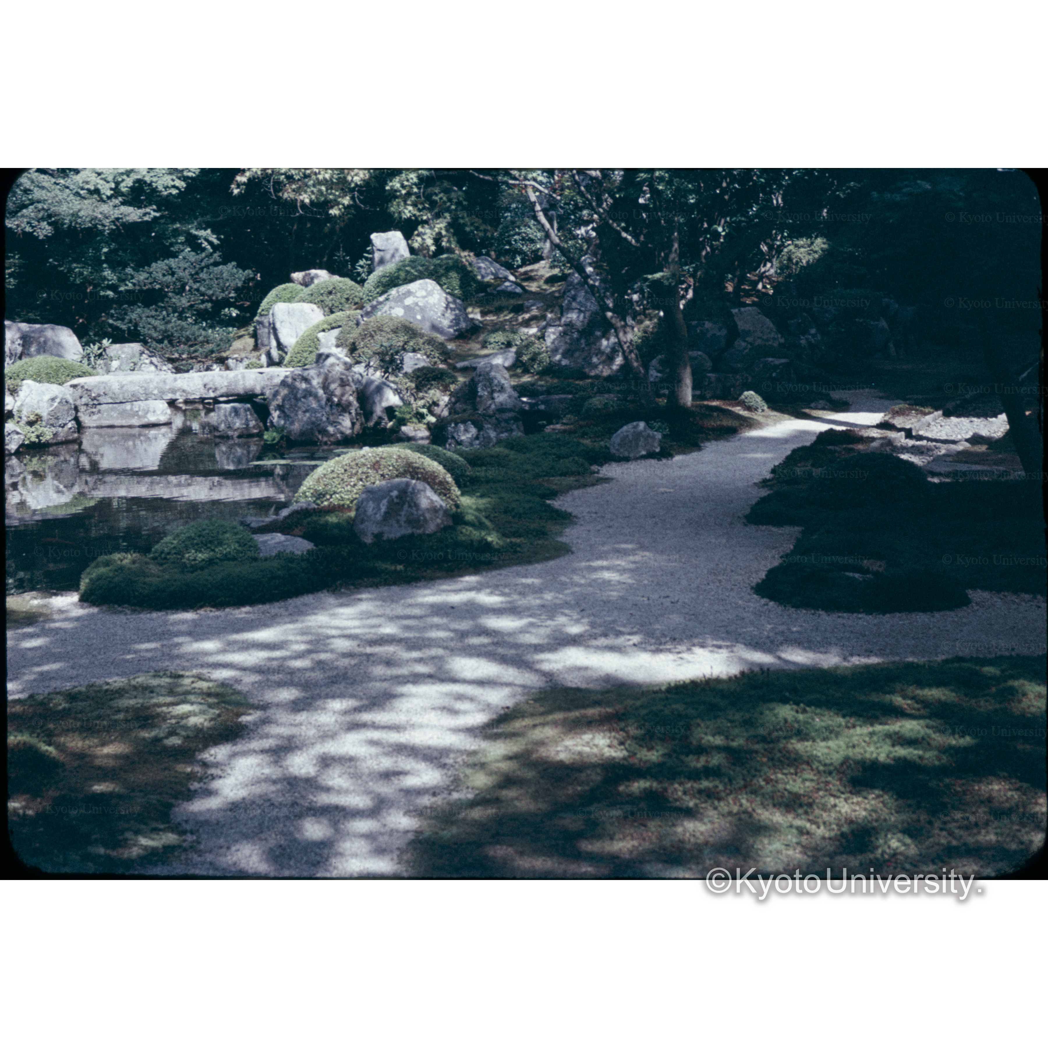 レンゲ寺 (1)