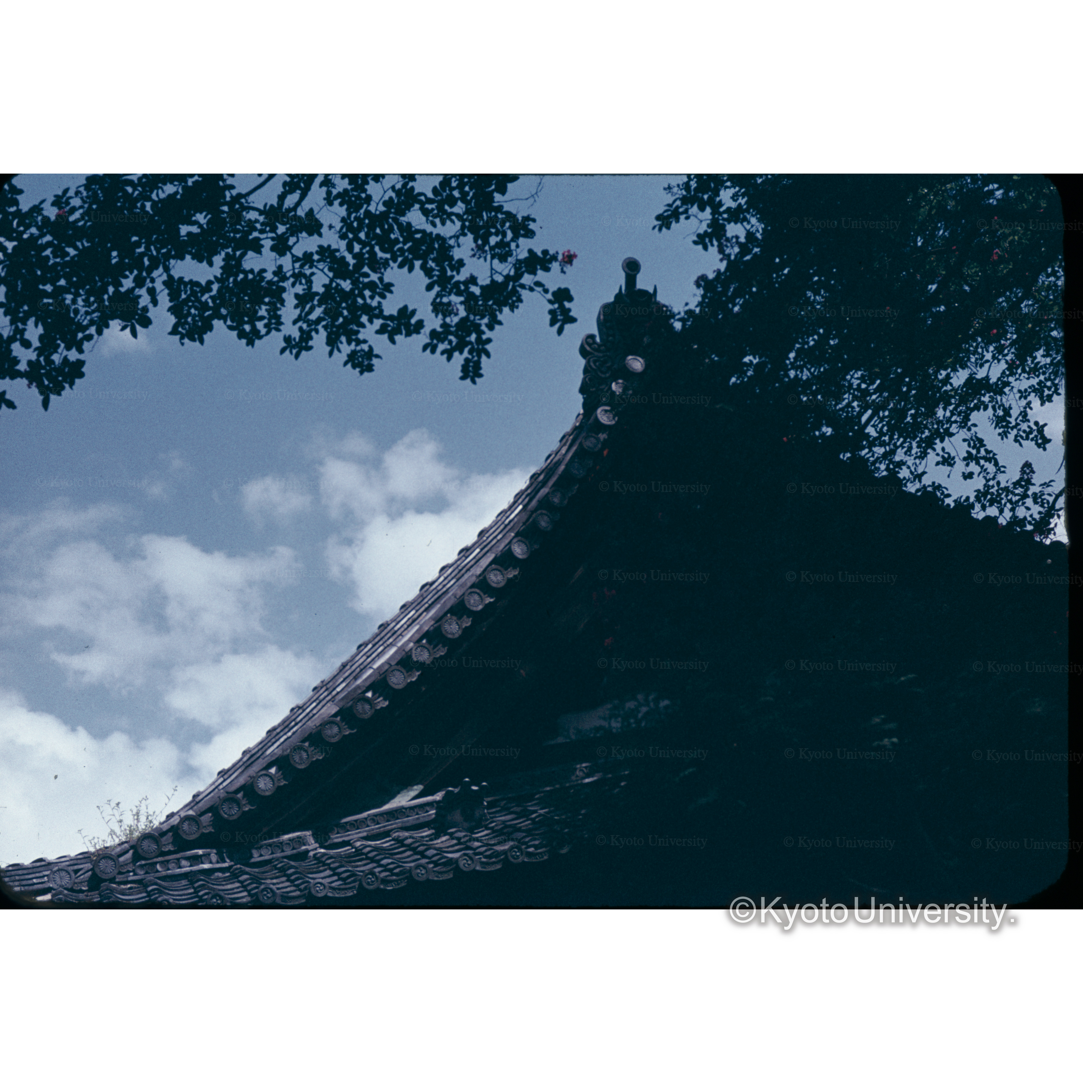 レンゲ寺 (1)