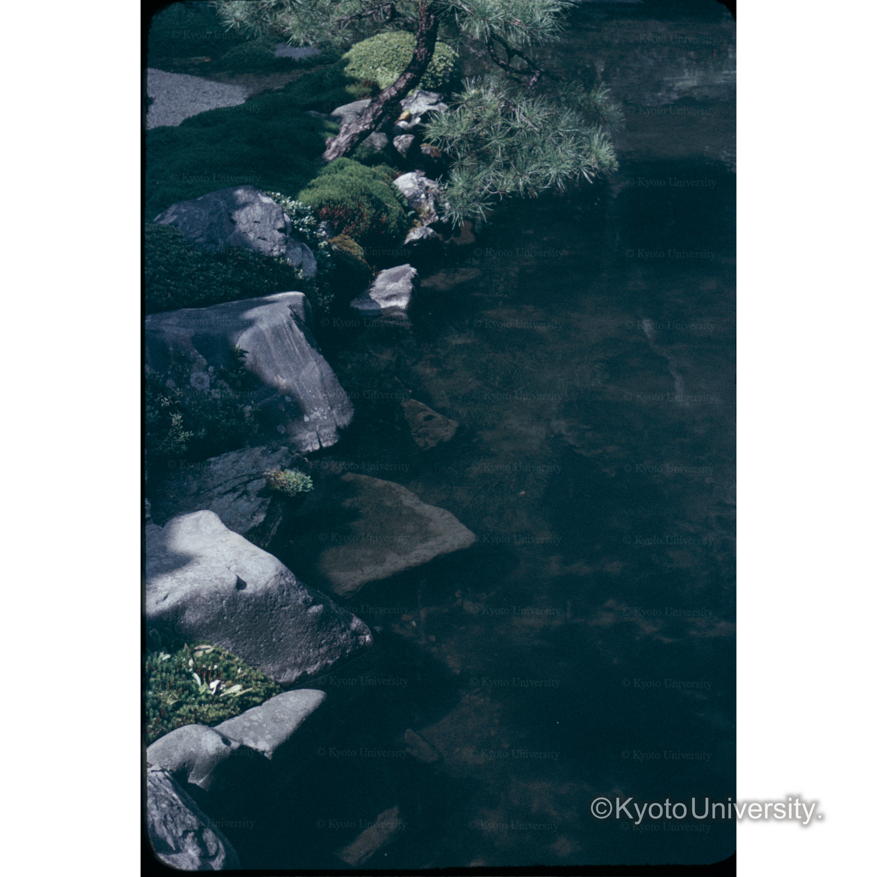レンゲ寺 (1)