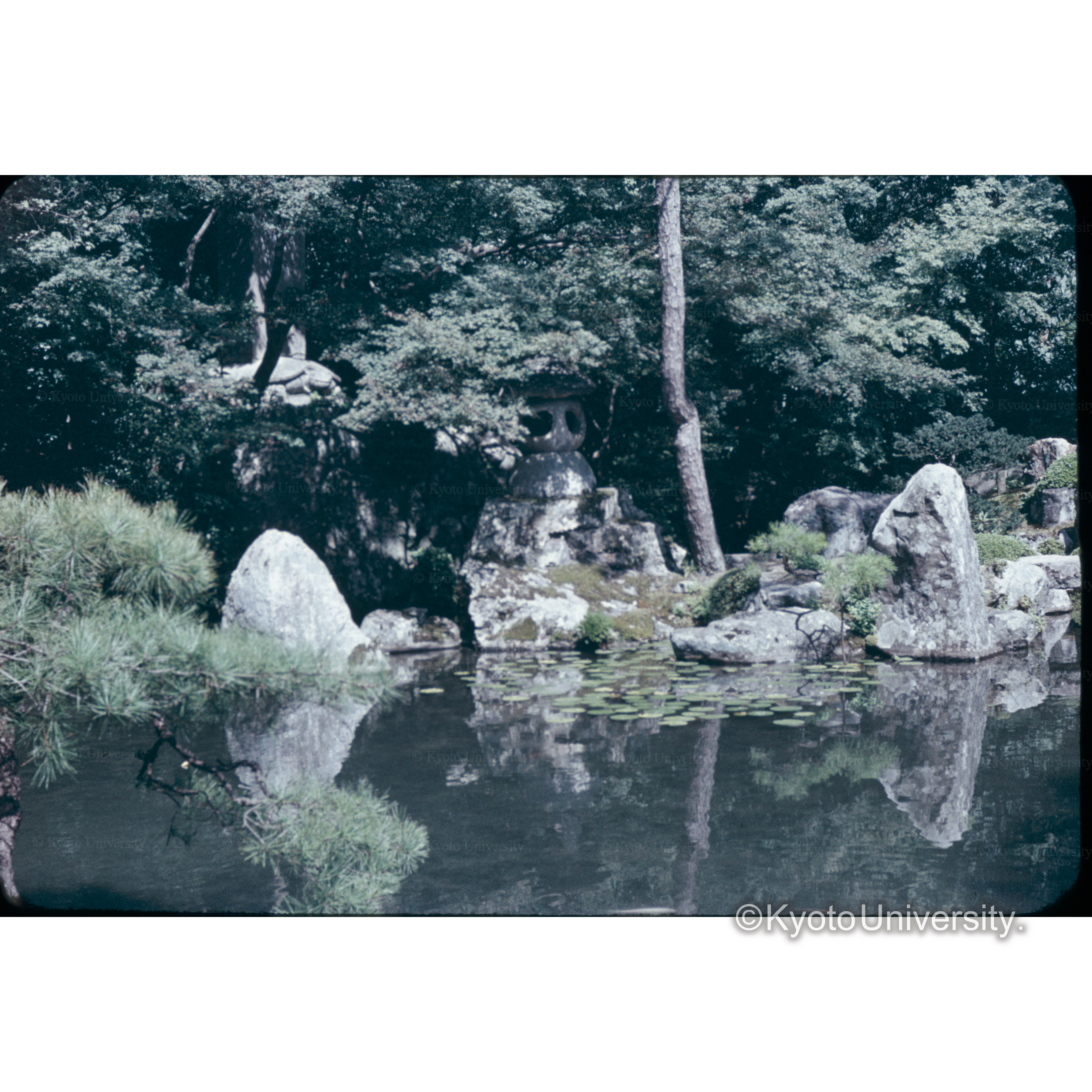 レンゲ寺 (1)
