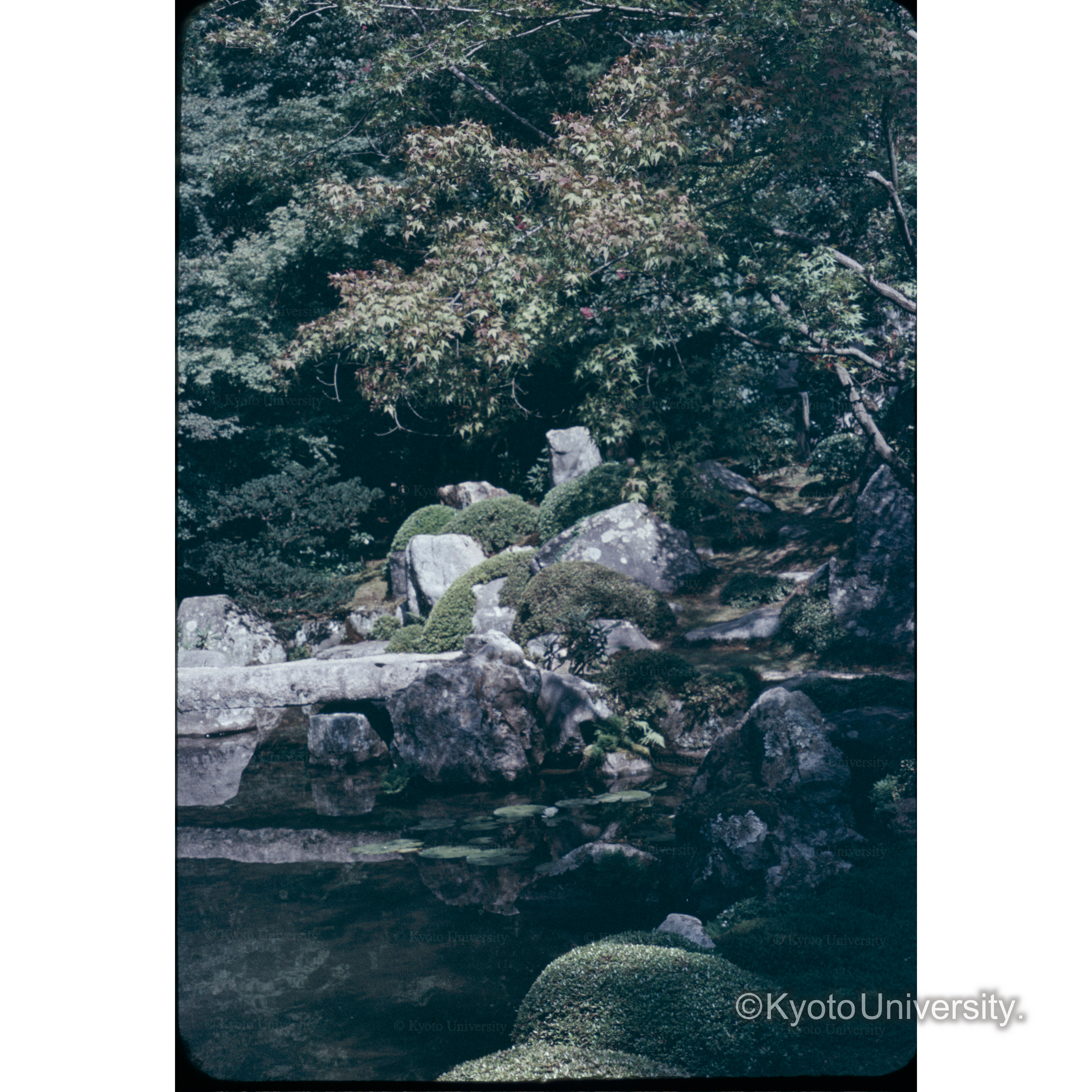 レンゲ寺 (1)