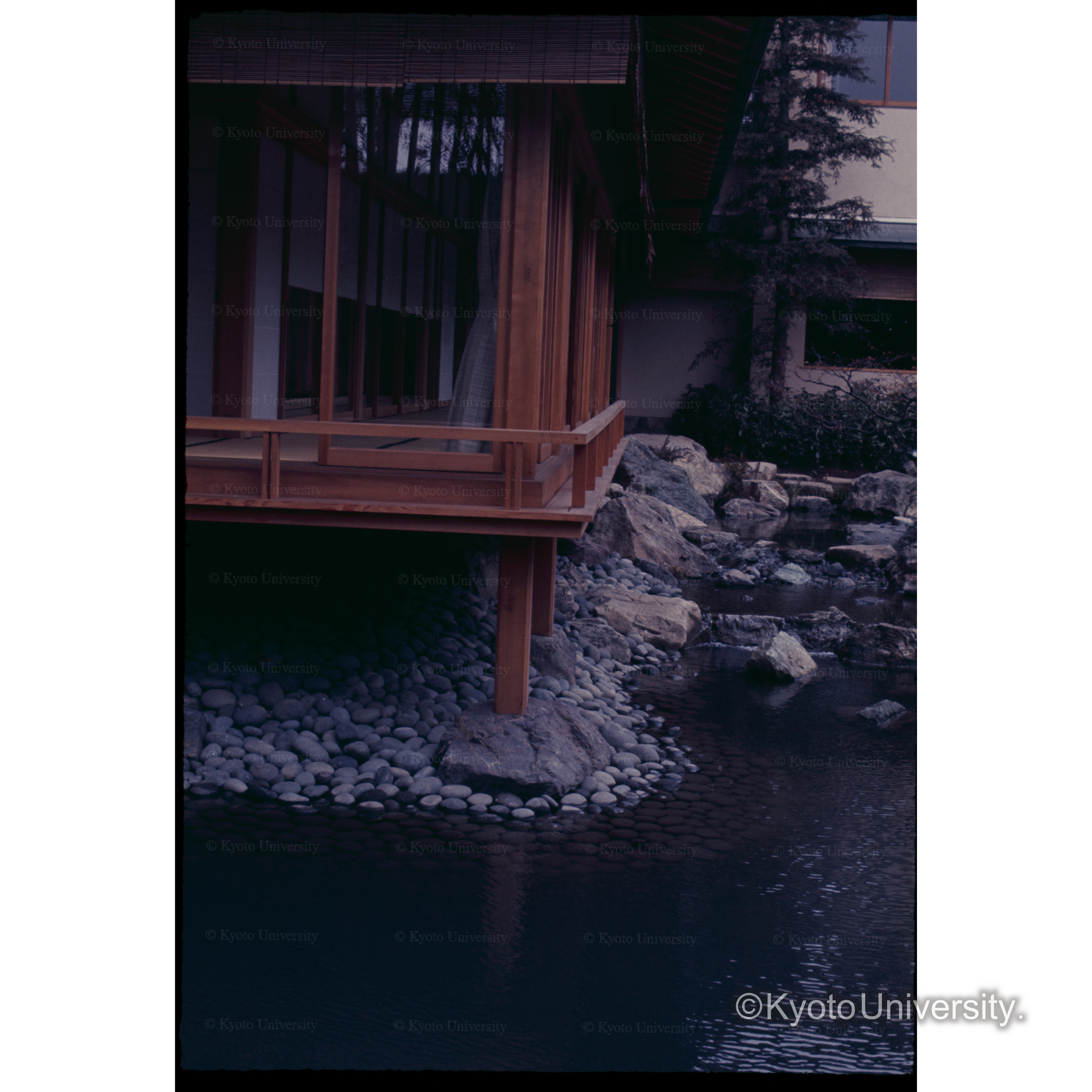京都ツルヤ (1)