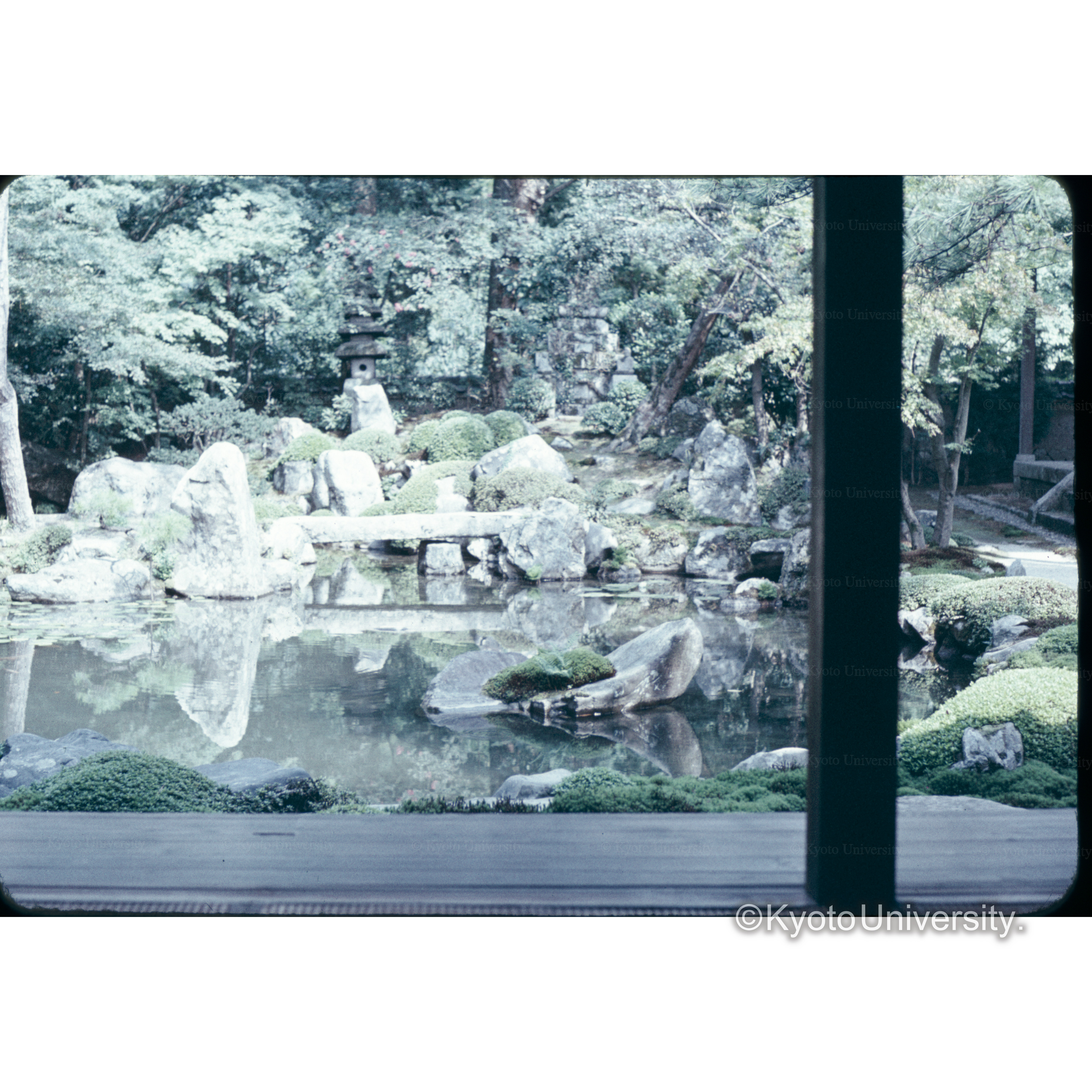 レンゲ寺 (1)