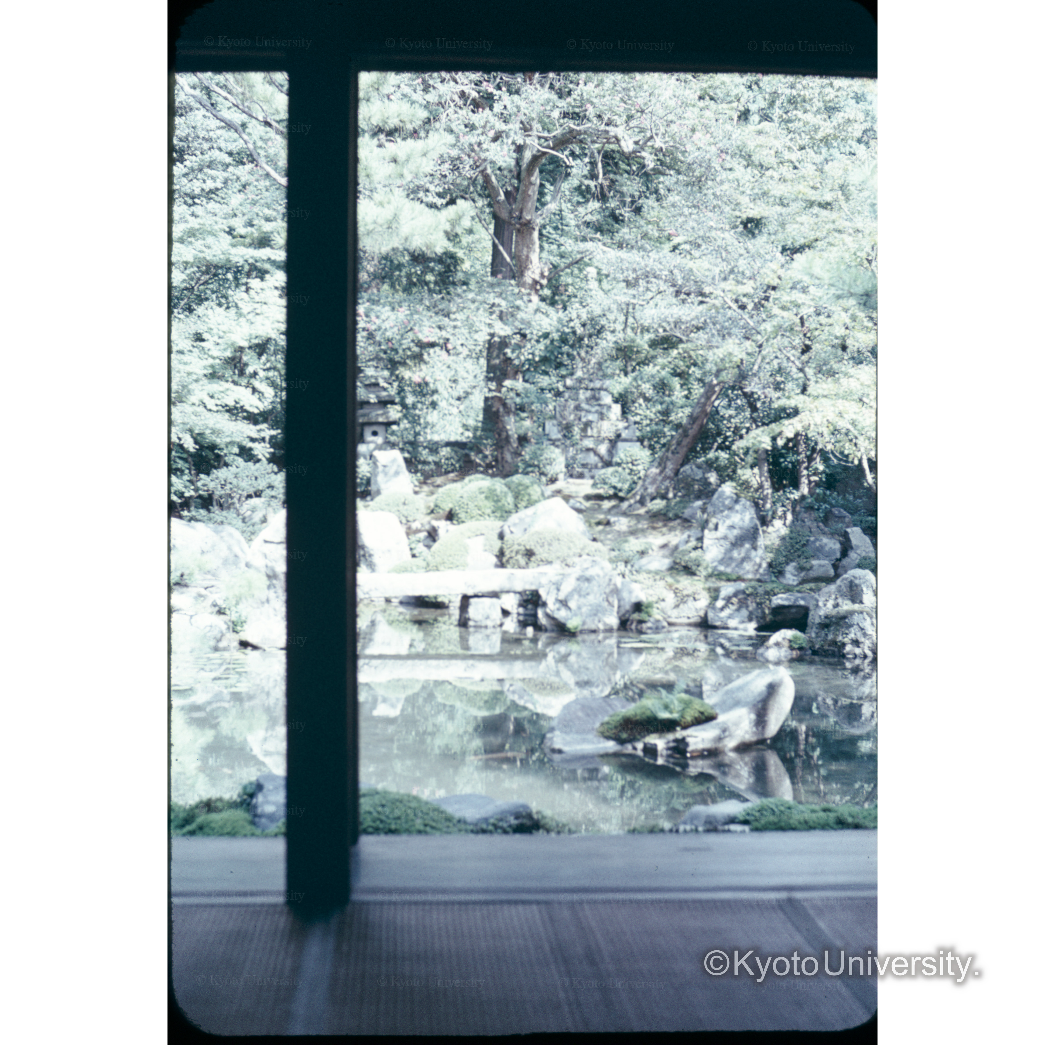 レンゲ寺 (1)