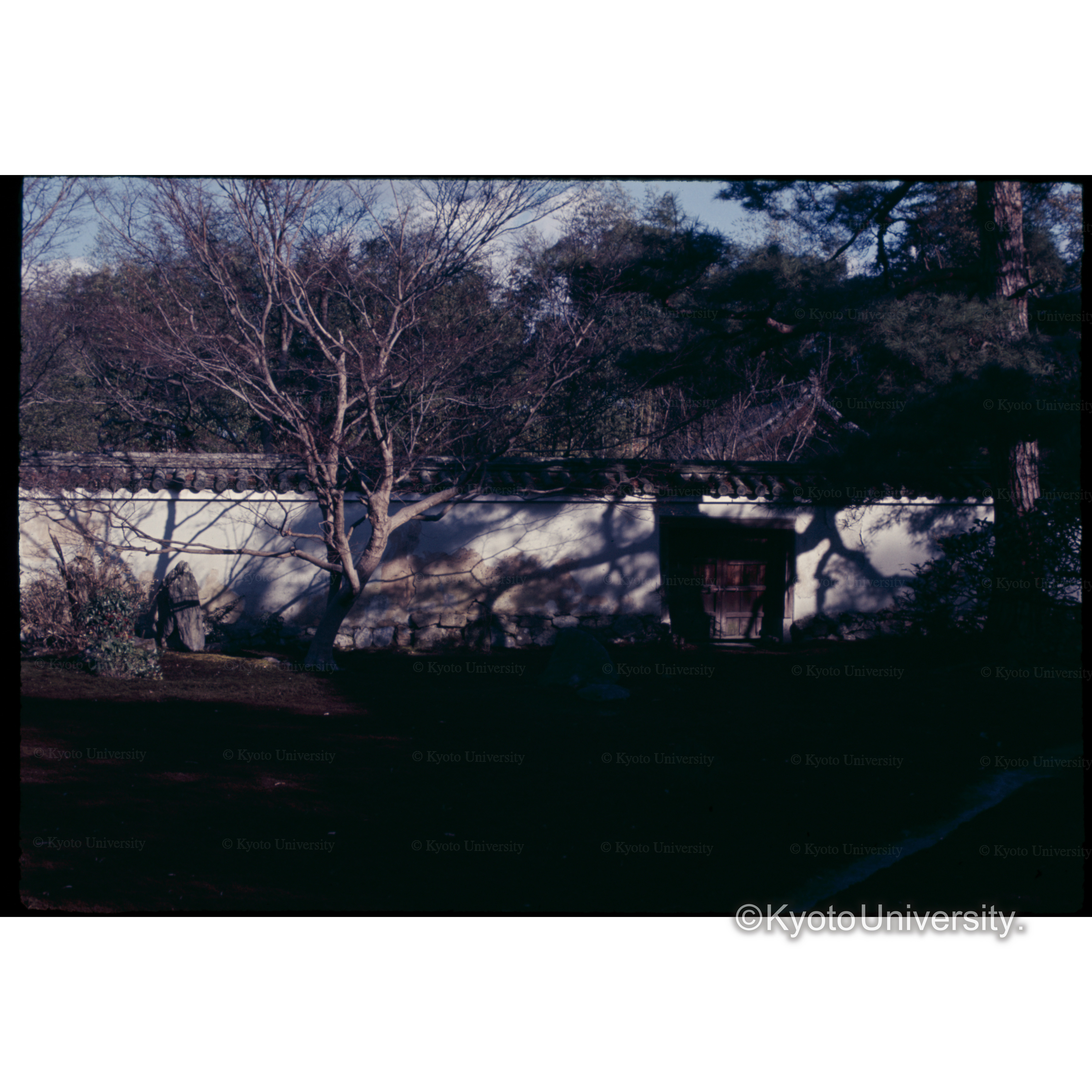 鹿王院 (1)
