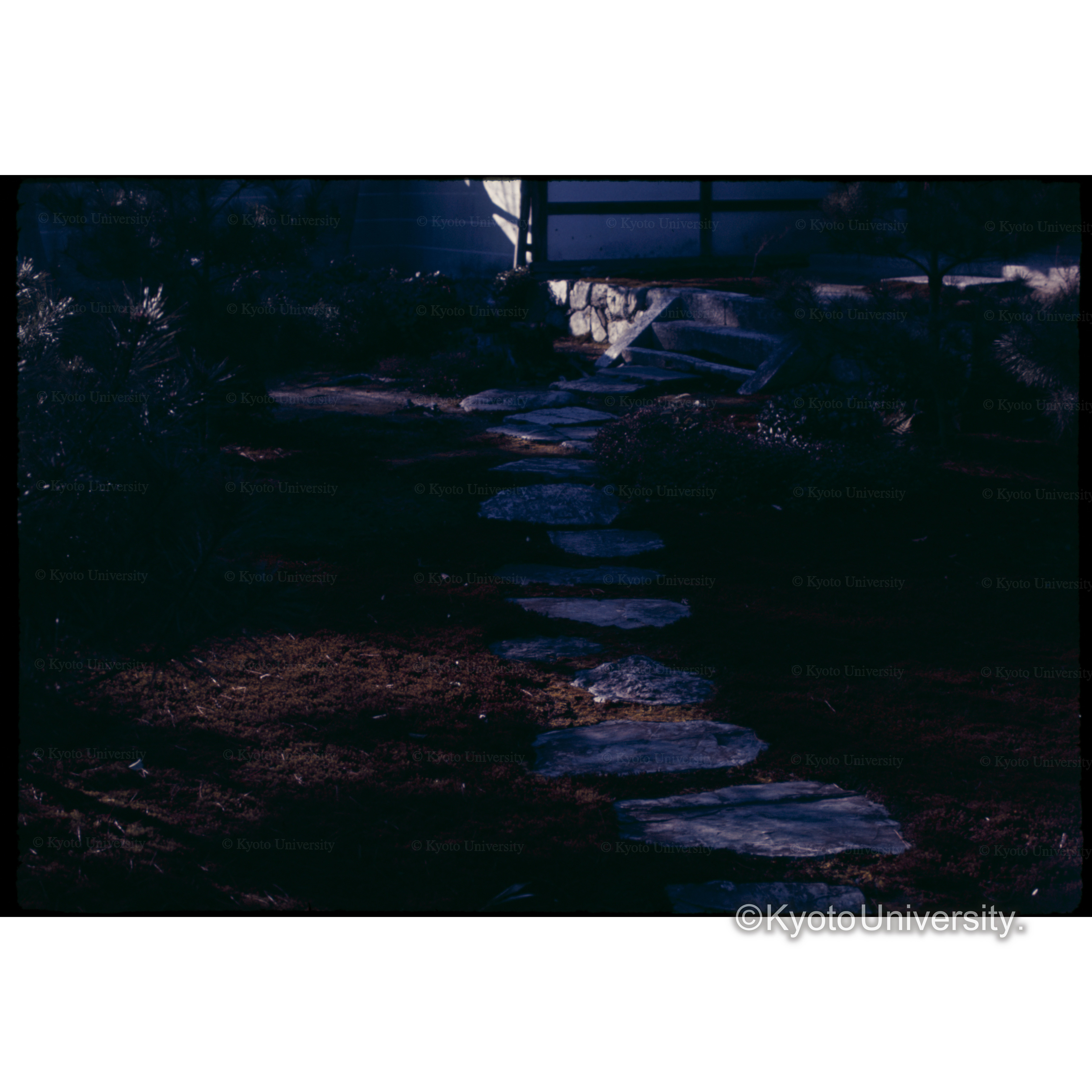 鹿王院 (1)
