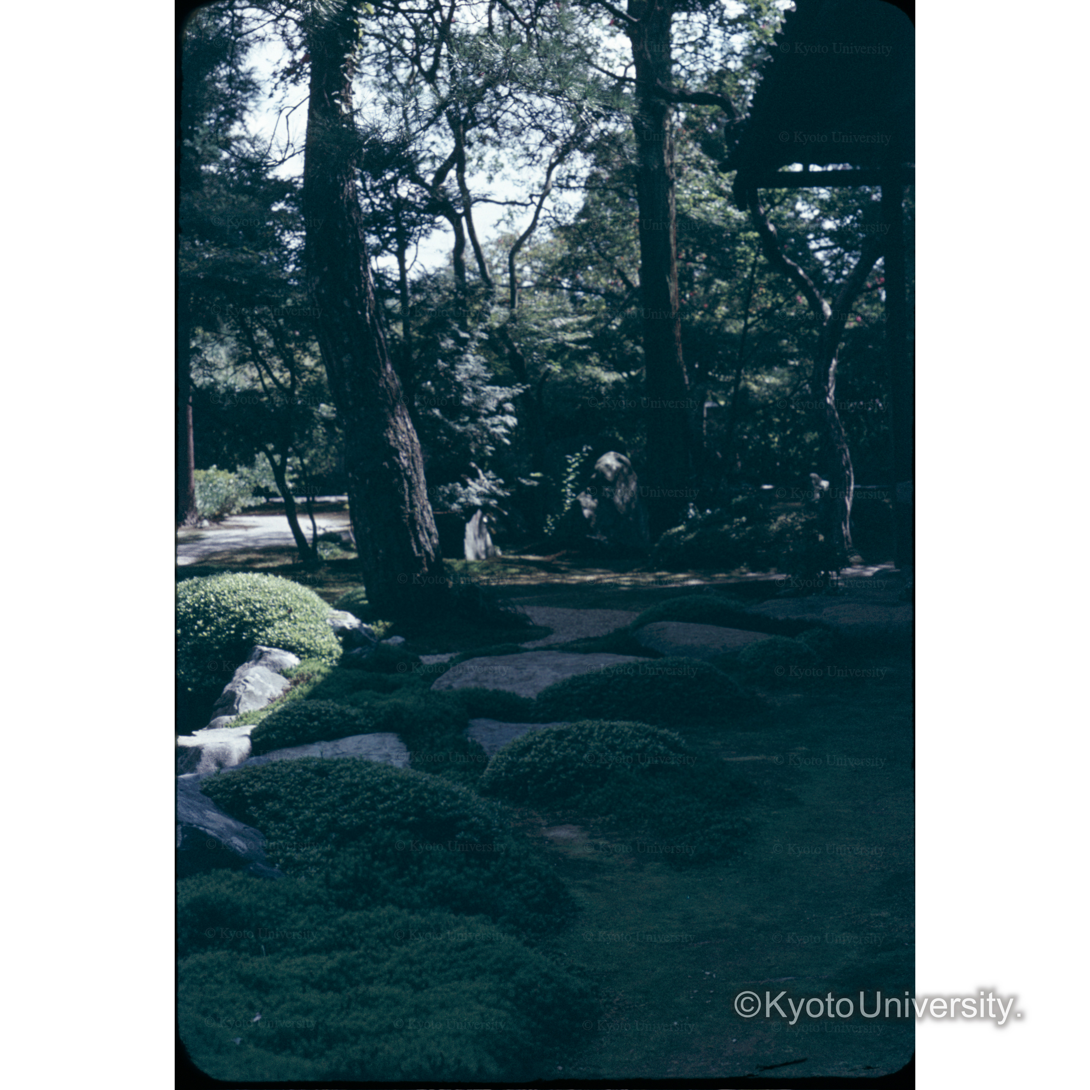 レンゲ寺 (1)