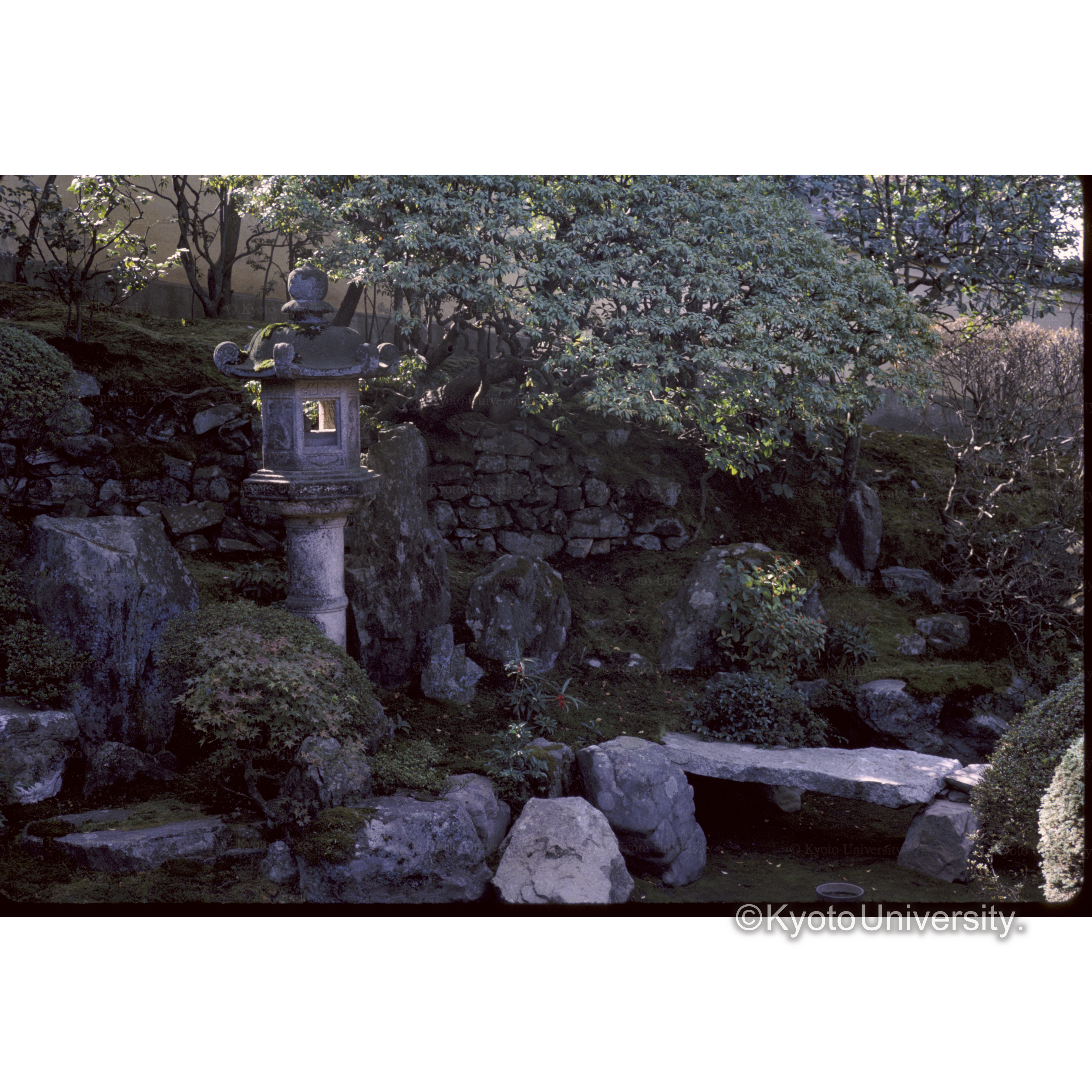霊鑑寺 (1)