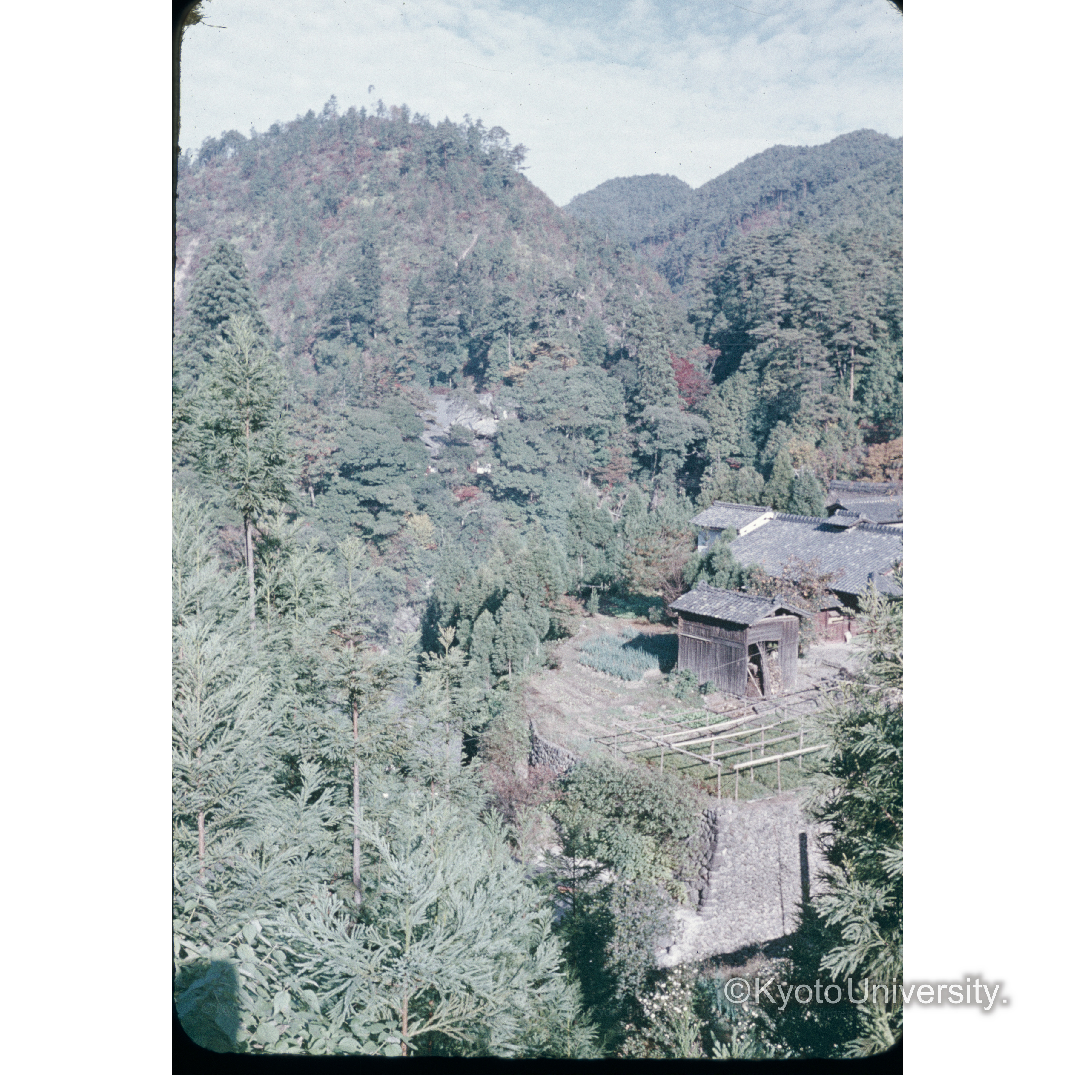 高尾 (1)