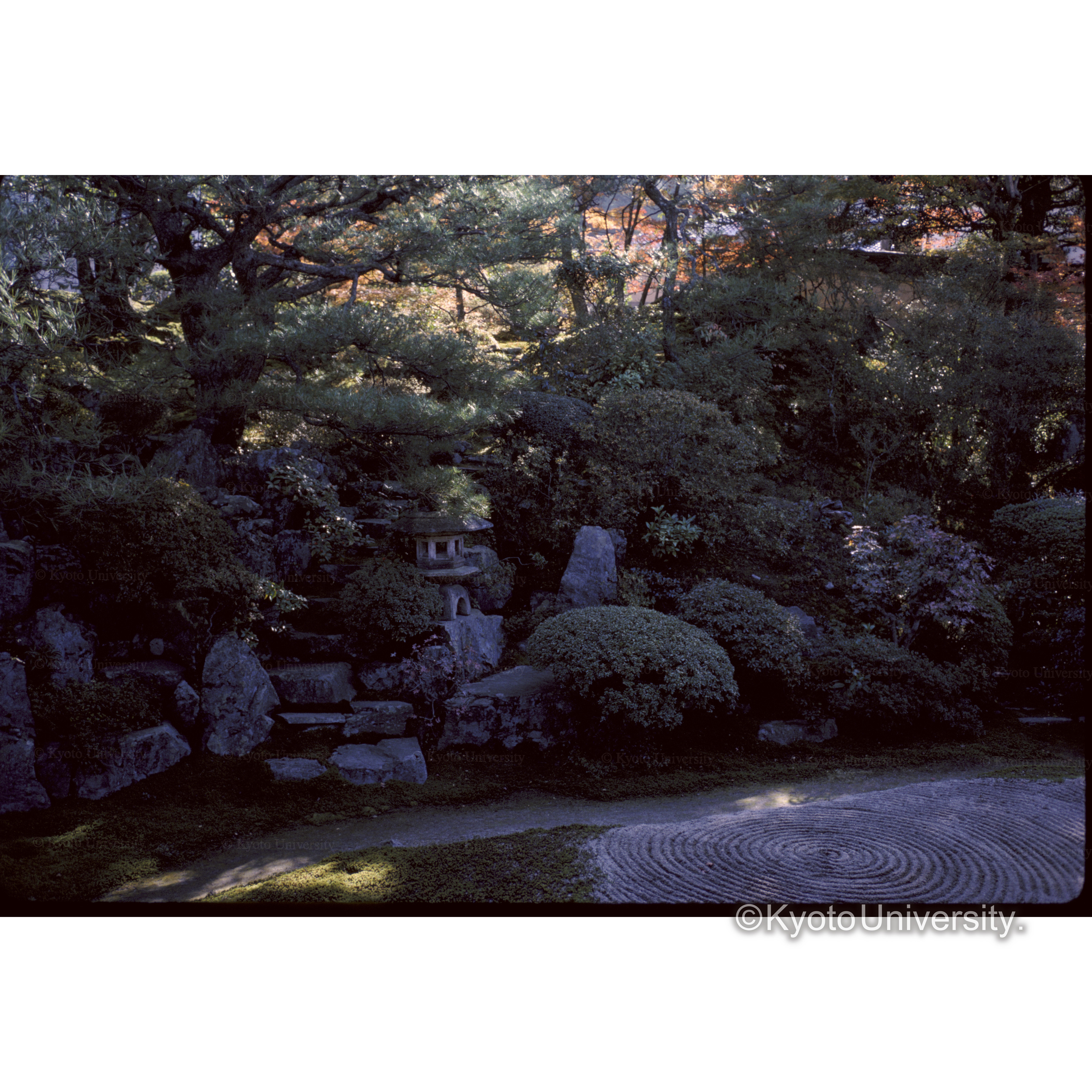 霊鑑寺 (1)
