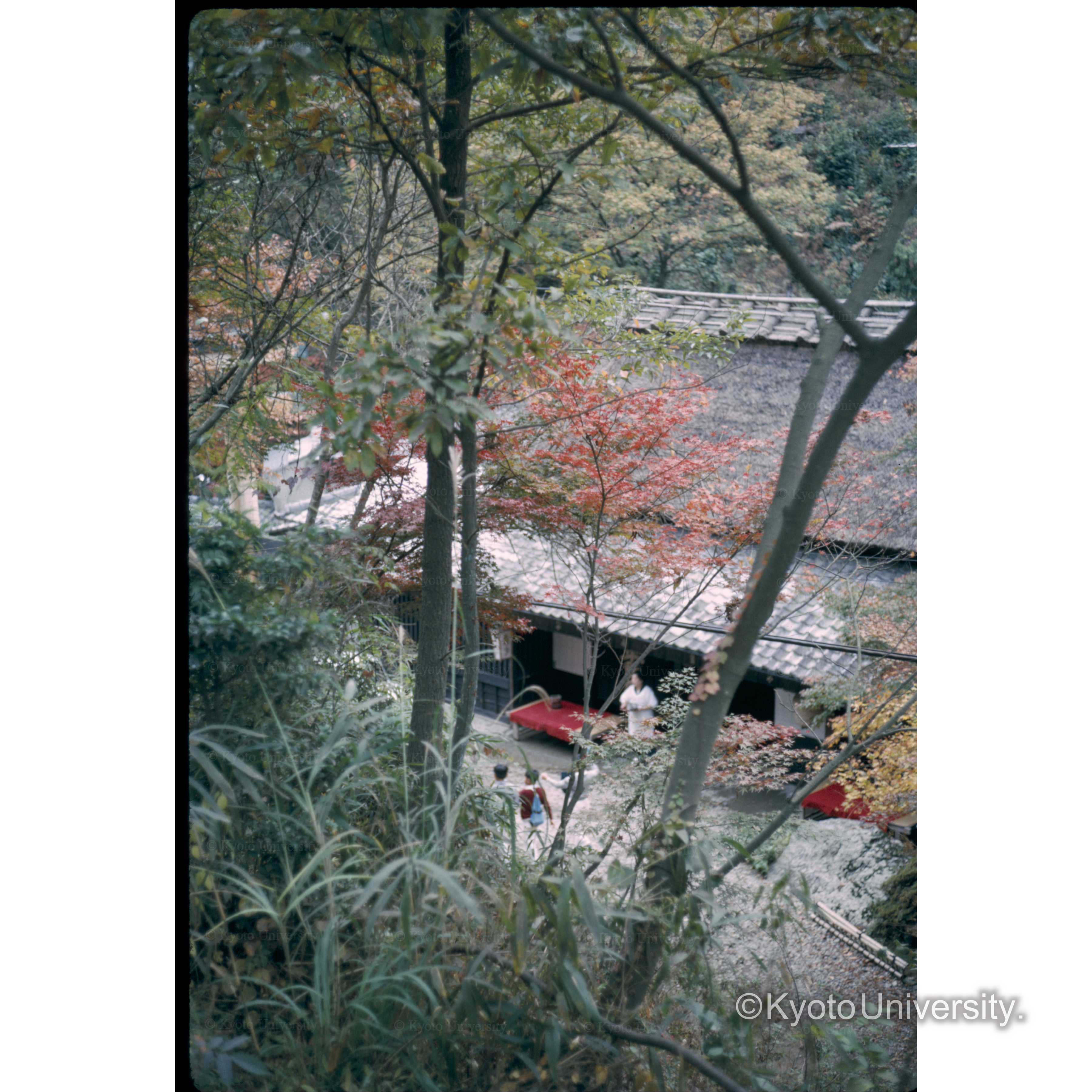 鳥居本 (1)