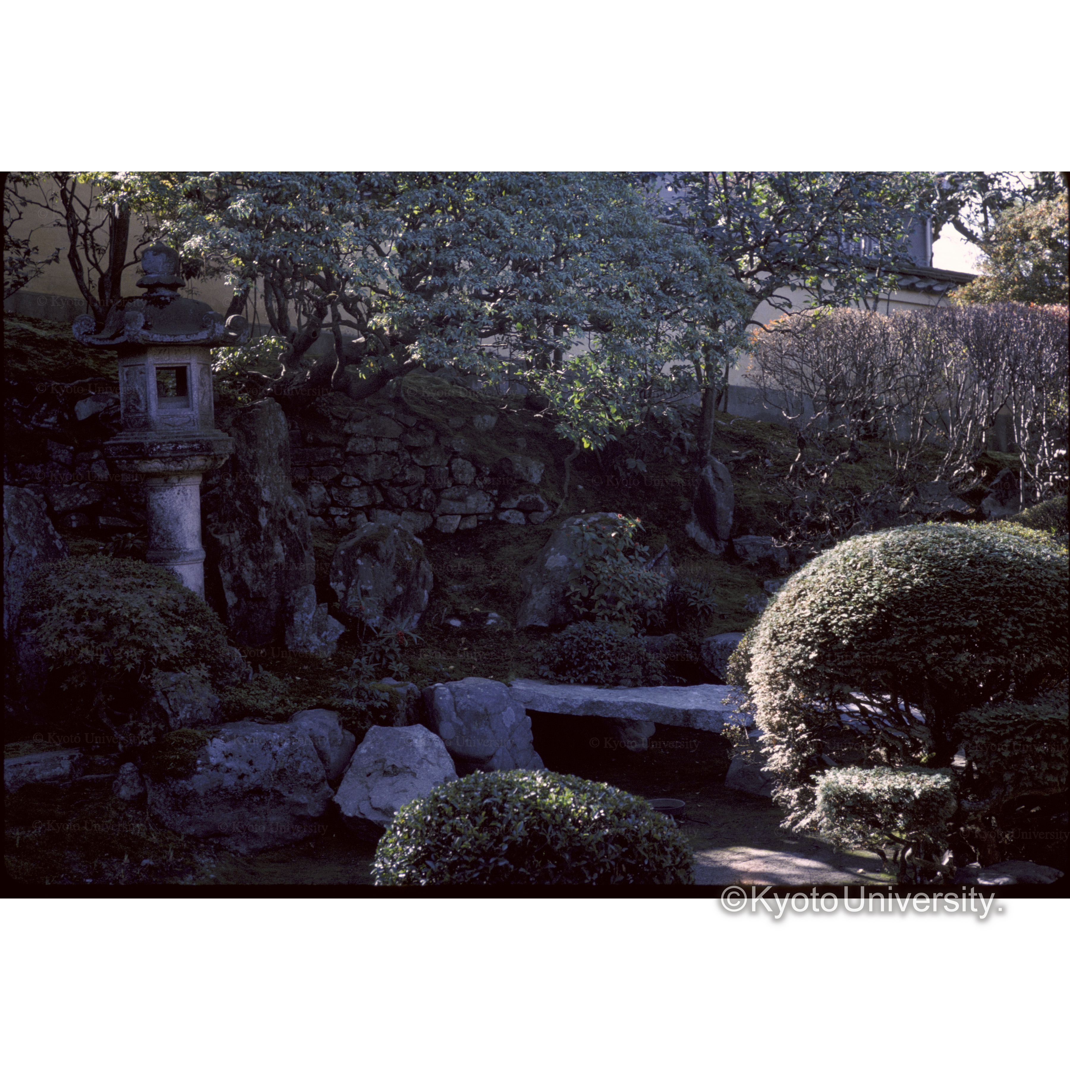 霊鑑寺 (1)