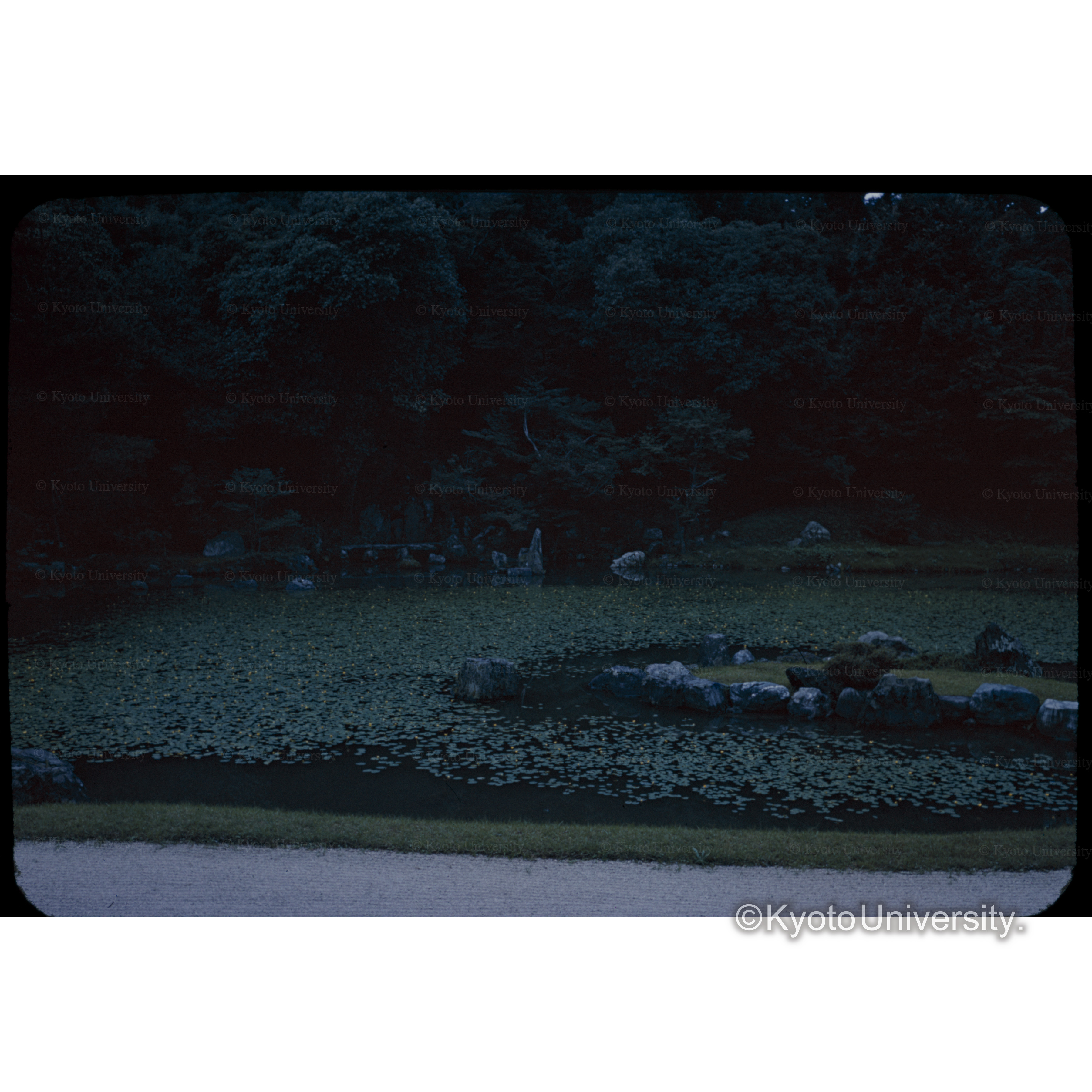オゼ□ (1)