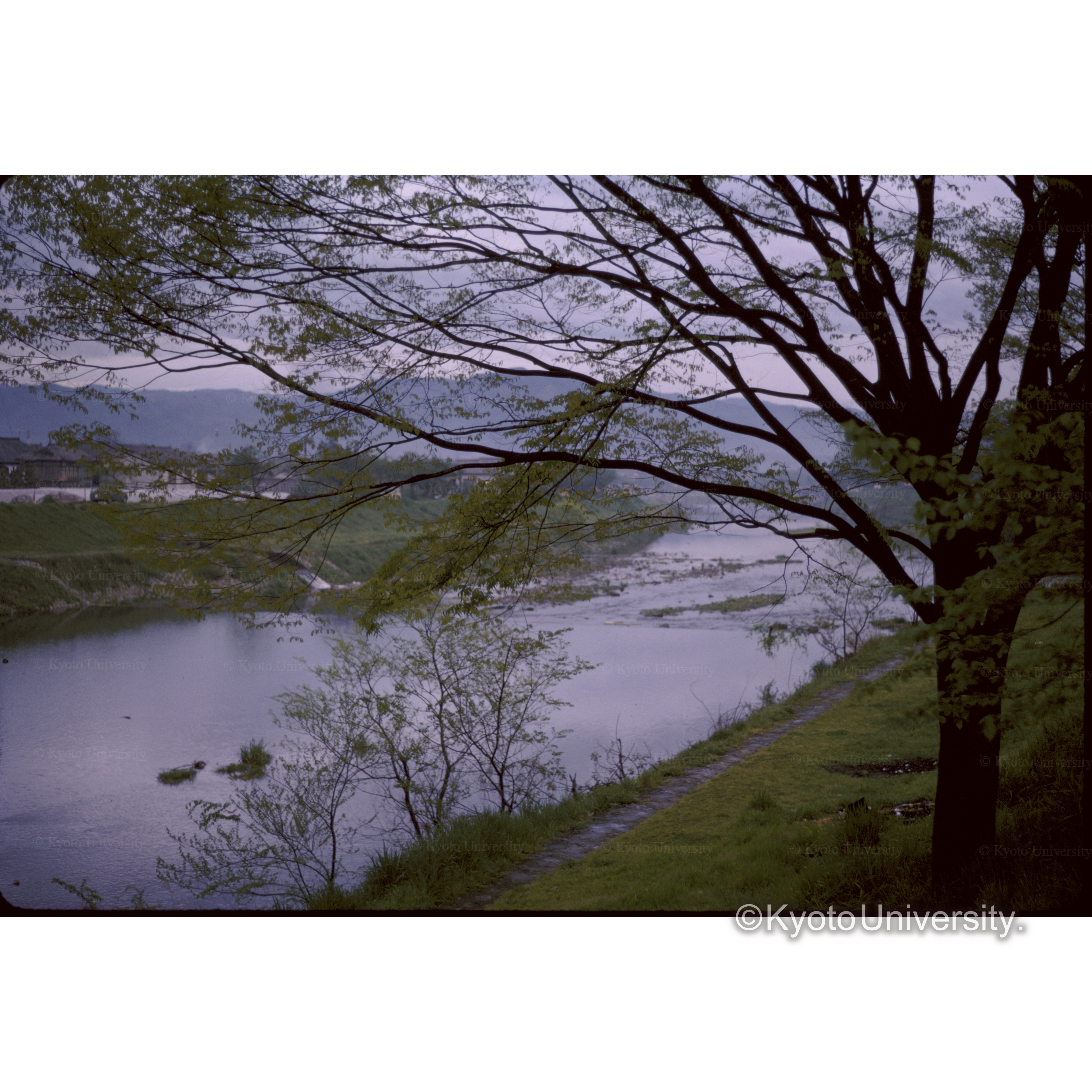 鴨川 (1)