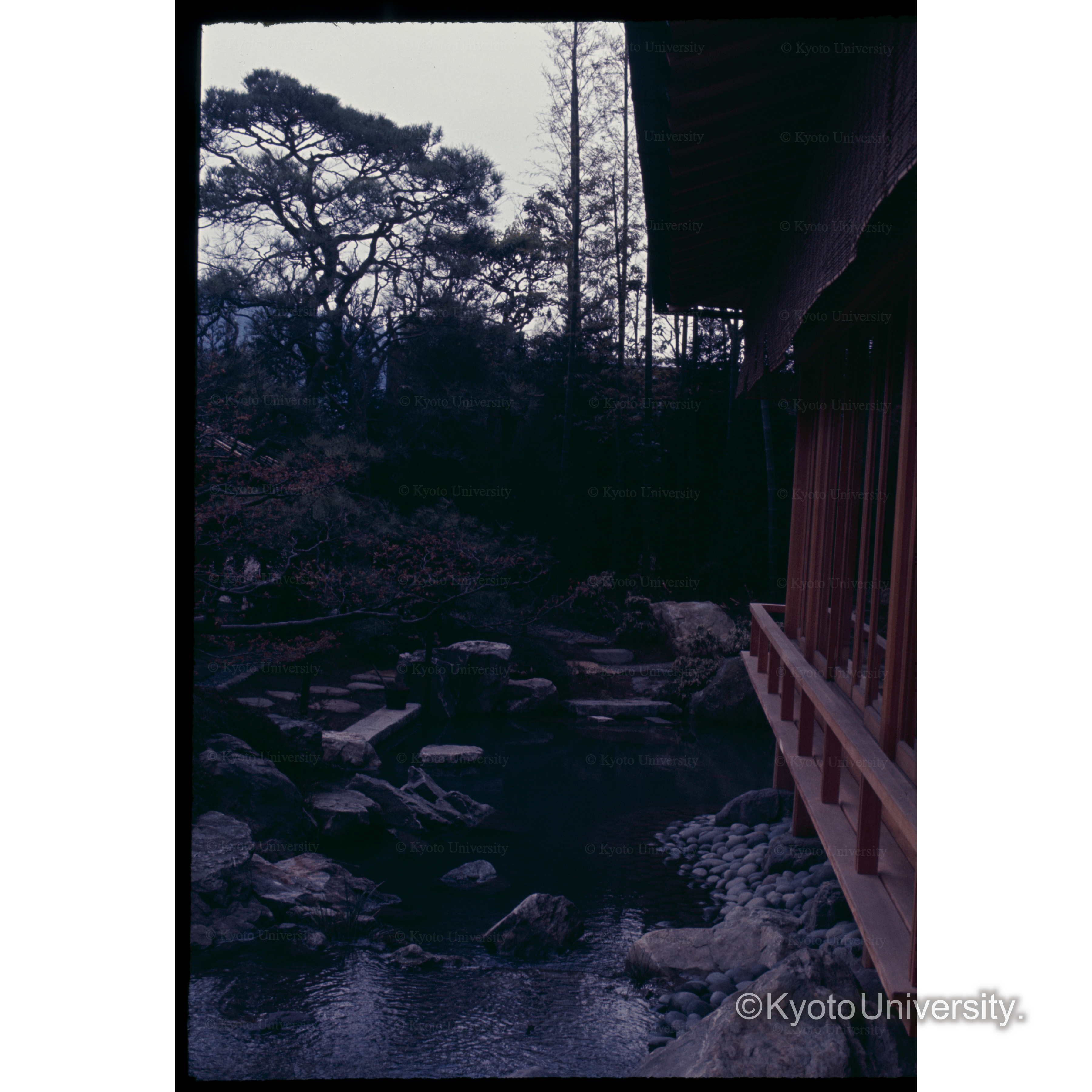 京都ツルヤ (1)