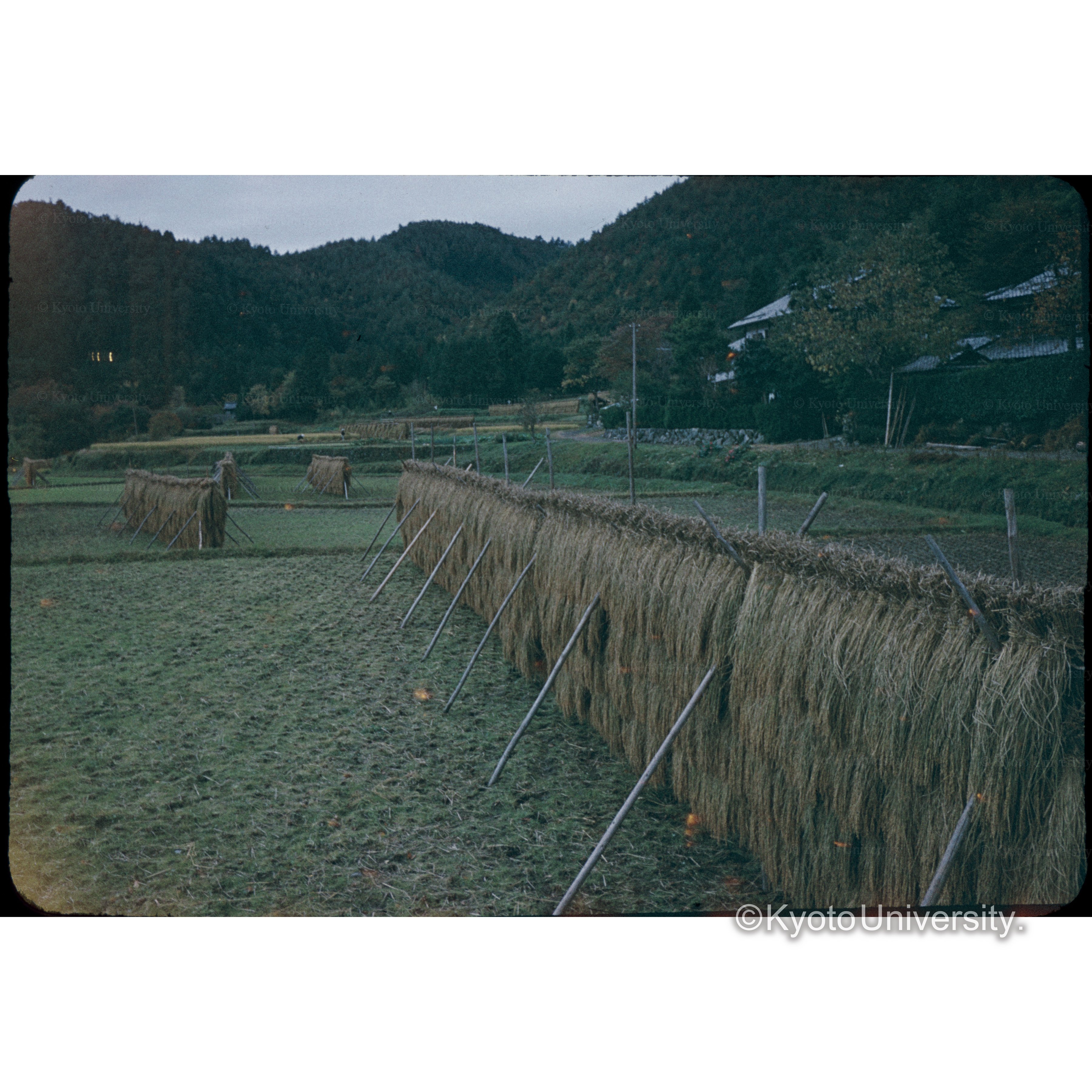静原 (1)
