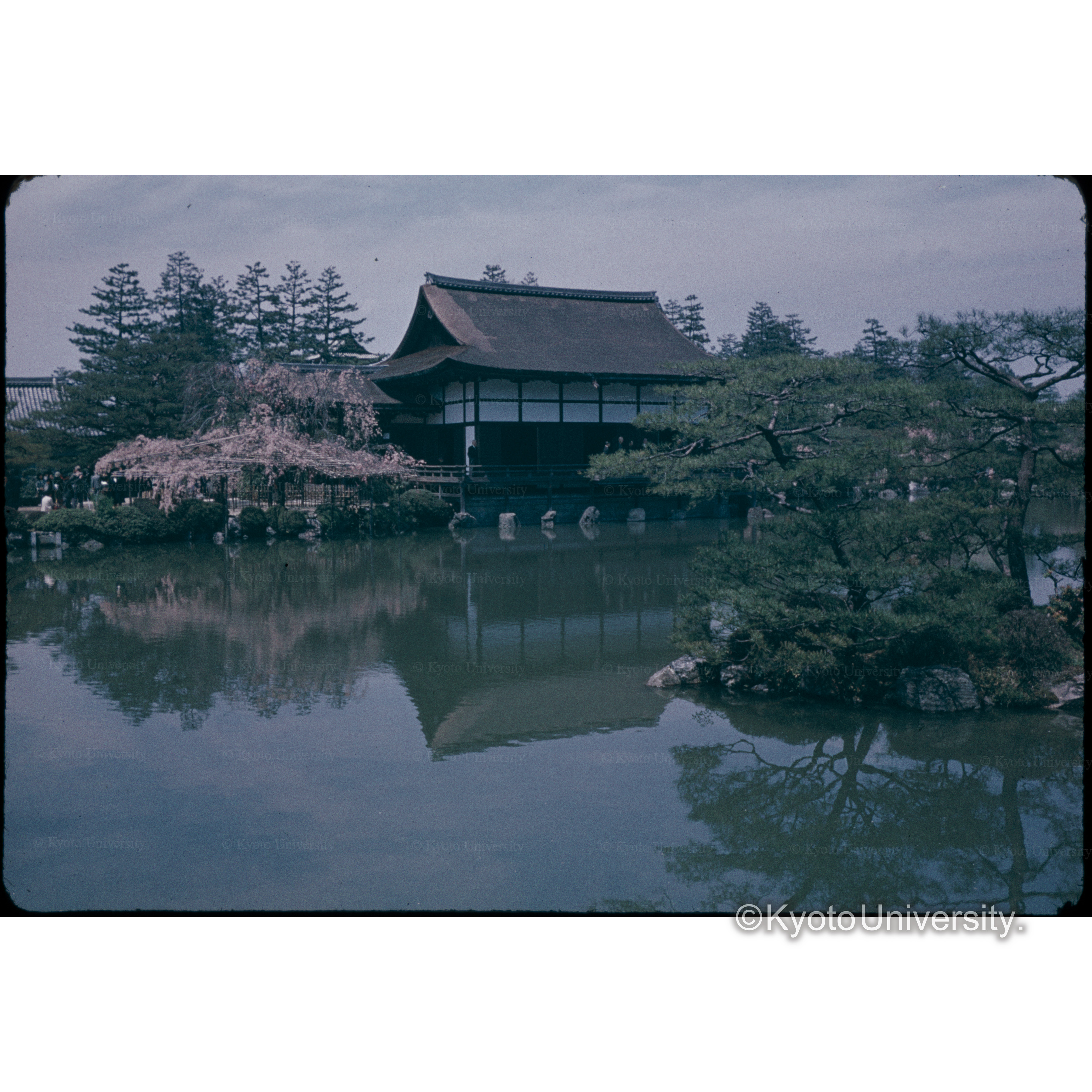 Heian Jingû (1)