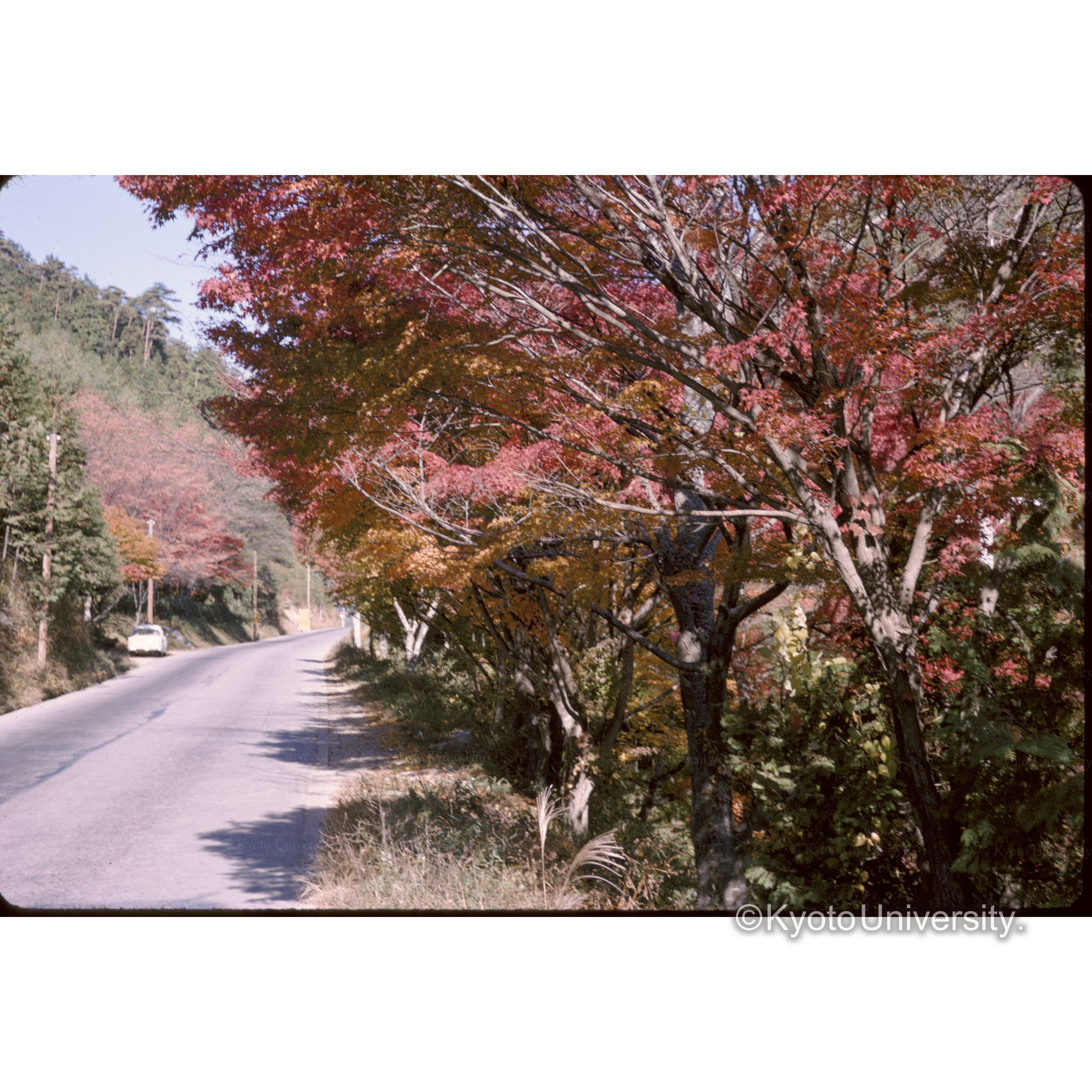 高雄 (1)