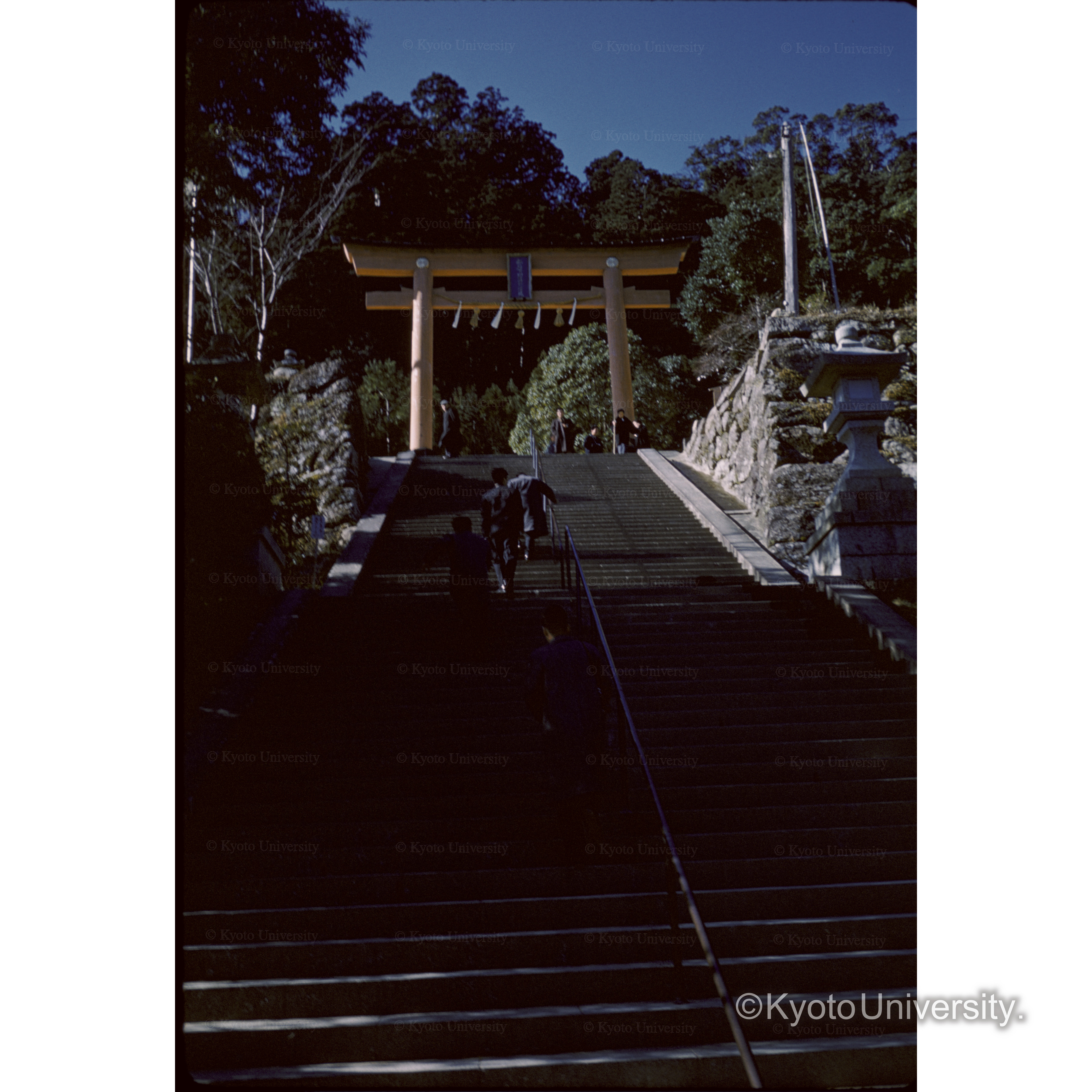 ナチ (1)