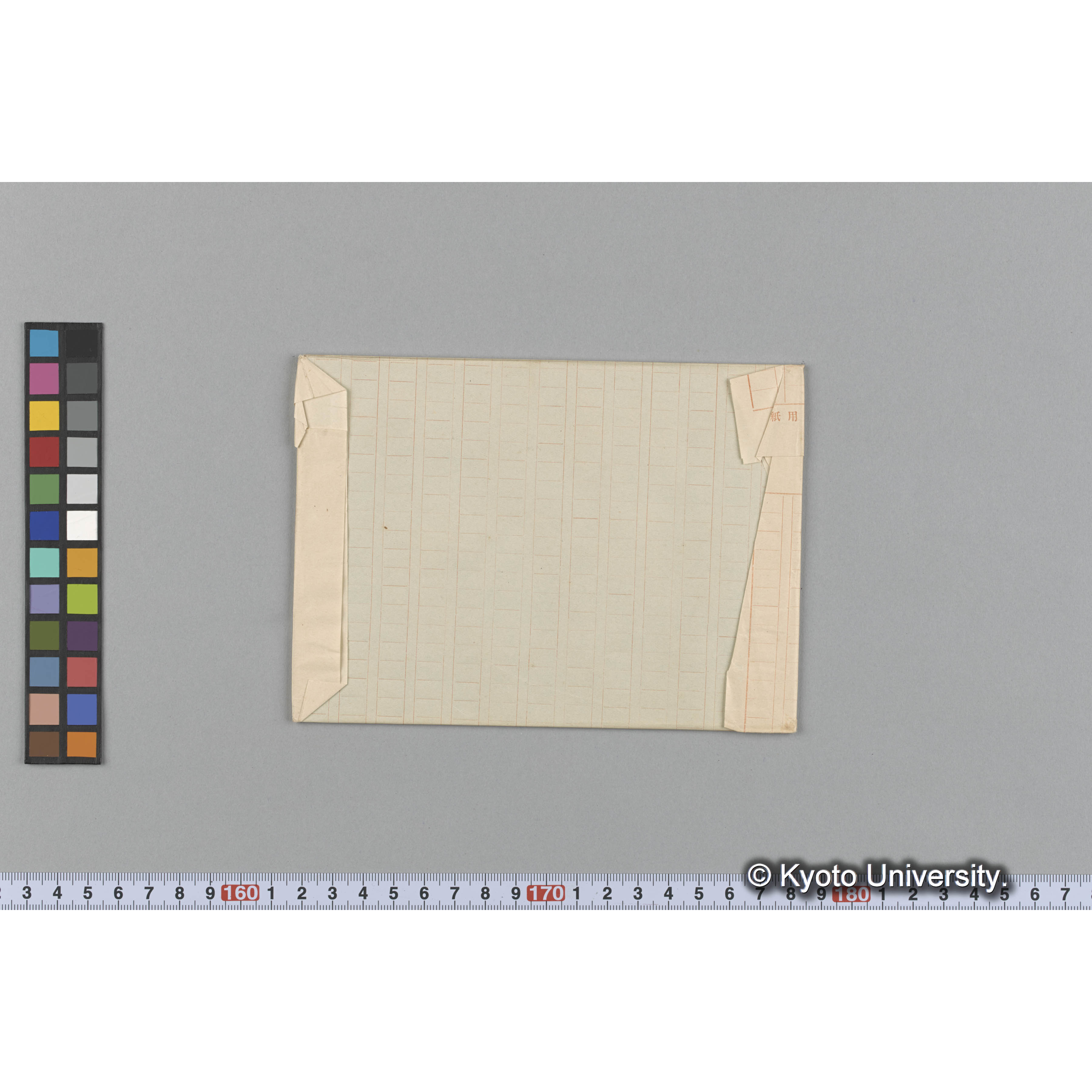 Amphiroa peruana Aresch / cotype / Herb. Trinity Coll. （写真帳番号 10） (2)