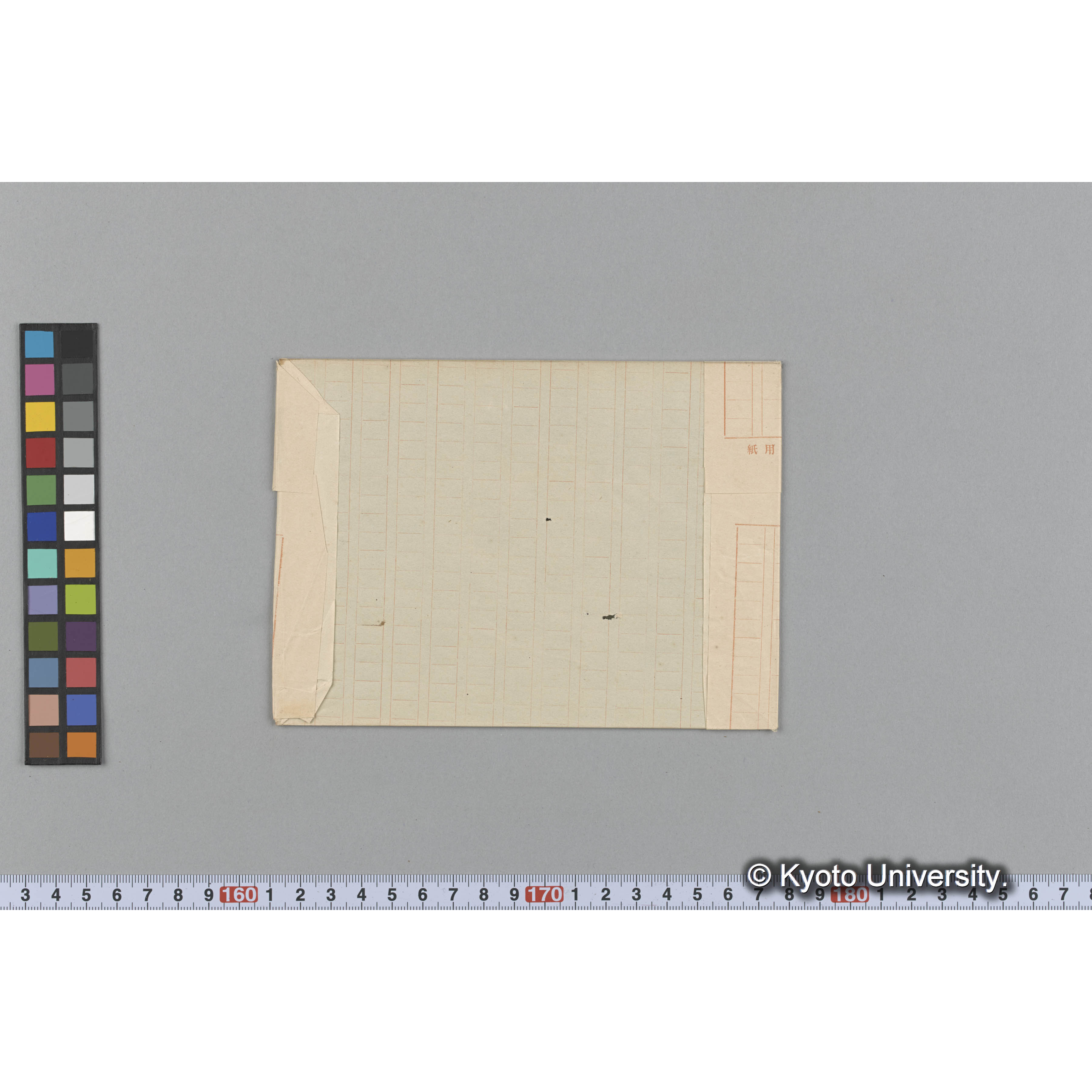 Acropeltis australis / Trinity College / Ceylon / 外. 1692 （写真帳番号 2） (2)